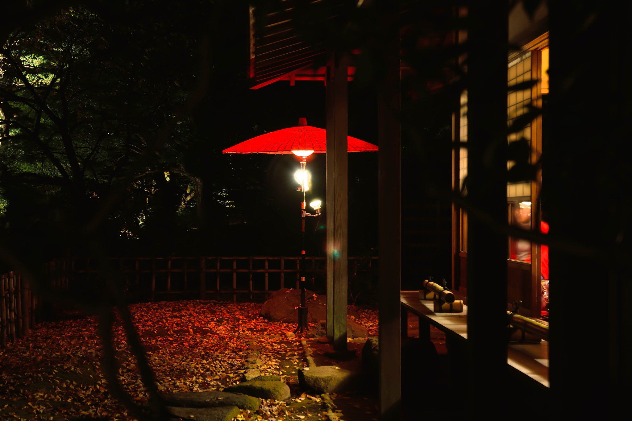 Sigma 17-70mm F2.8-4 DC Macro OS HSM | C sample photo. Rikugien20151121 photography