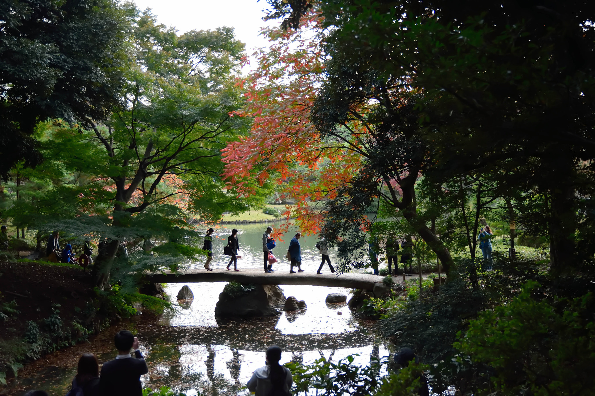 Sigma 17-70mm F2.8-4 DC Macro OS HSM | C sample photo. Rikugien20151121 photography