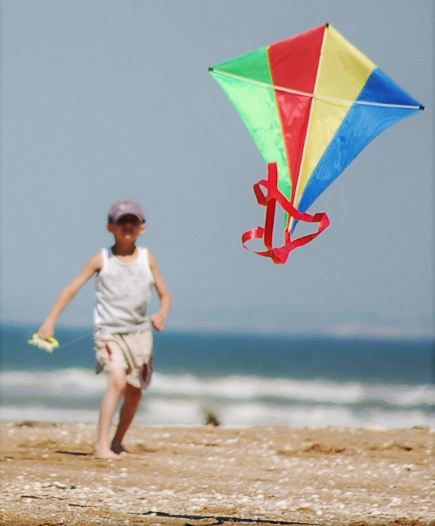 Sigma 70-300mm F4-5.6 APO Macro Super II sample photo. Kite photography