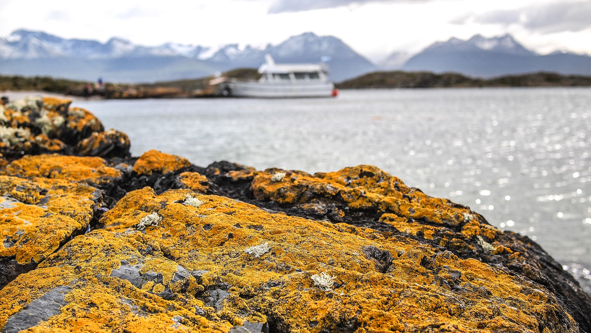 Olympus PEN E-PL1 + Panasonic Lumix G 20mm F1.7 ASPH sample photo. Ushuaia nature photography