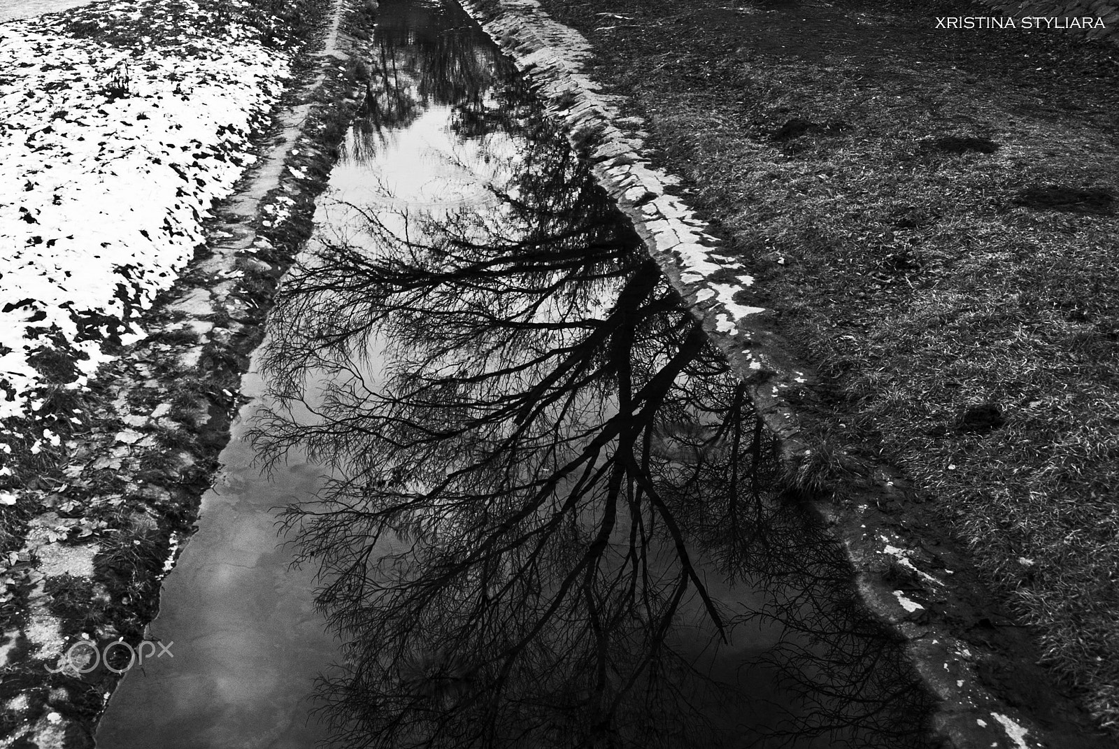 Nikon D200 sample photo. Reflection photography