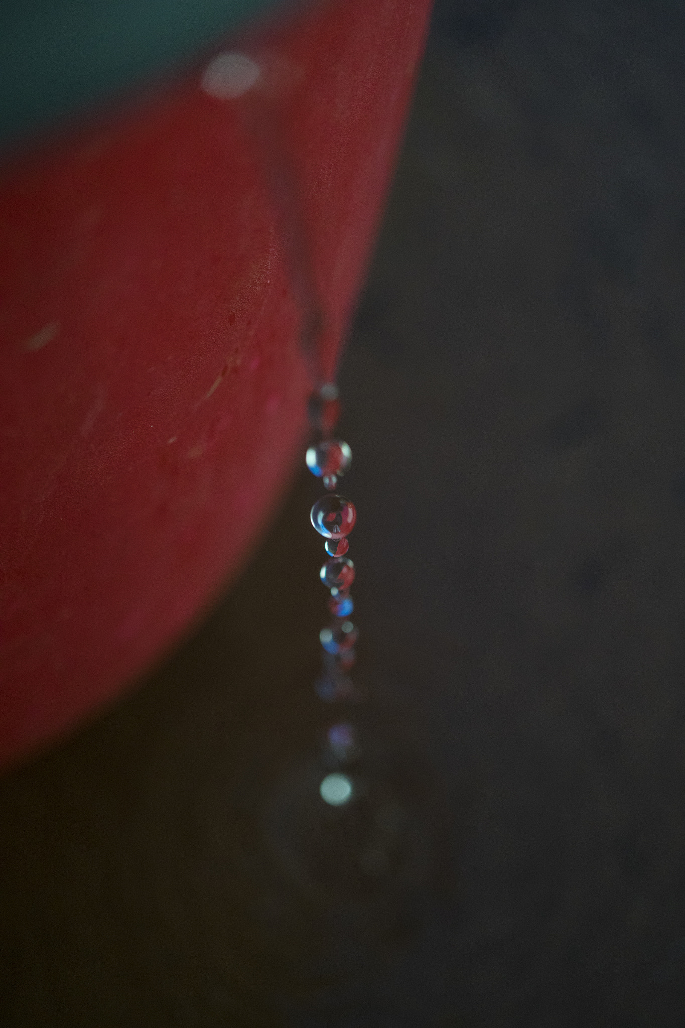 Sony a7R + Sony E 30mm F3.5 Macro sample photo. Drop photography