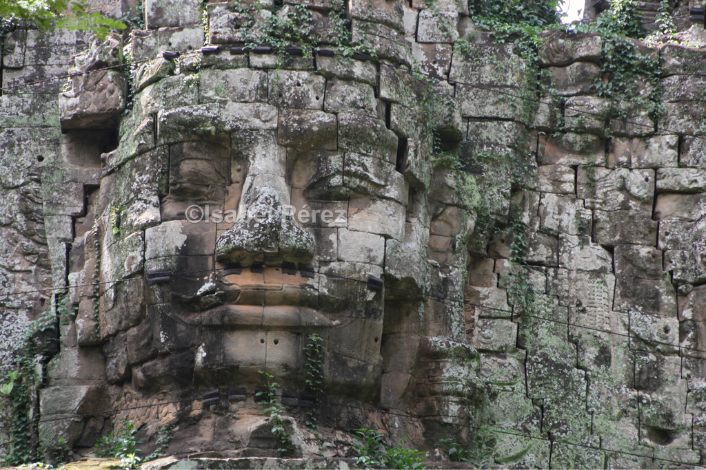 Canon EOS 7D + Canon 18-270mm sample photo. Bayon photography