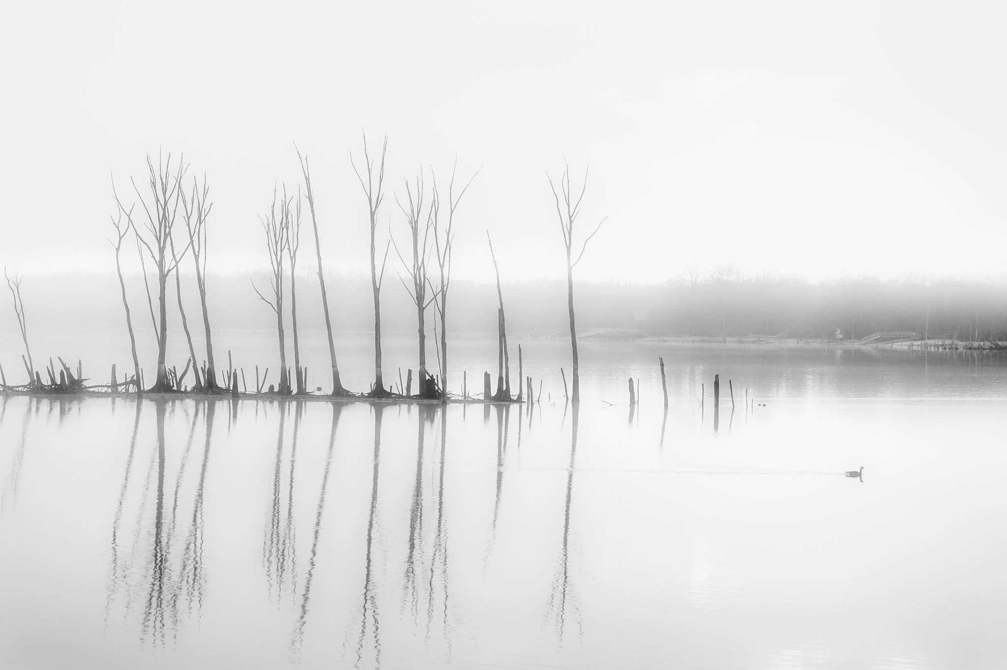 Sigma 120-400mm F4.5-5.6 DG OS HSM sample photo. Manasquan reservoir photography