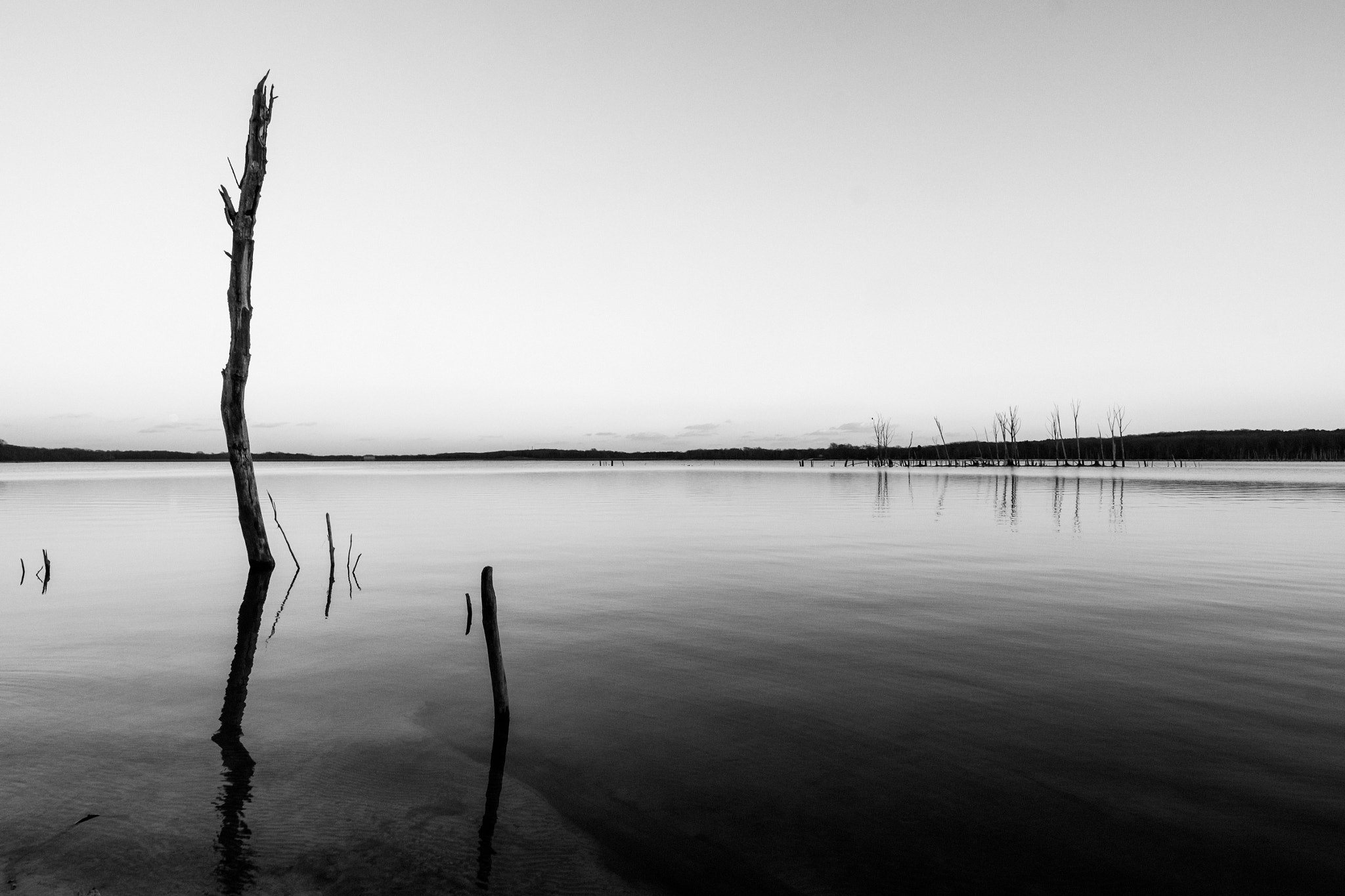 ZEISS Touit 12mm F2.8 sample photo. Manasquan reservoir photography