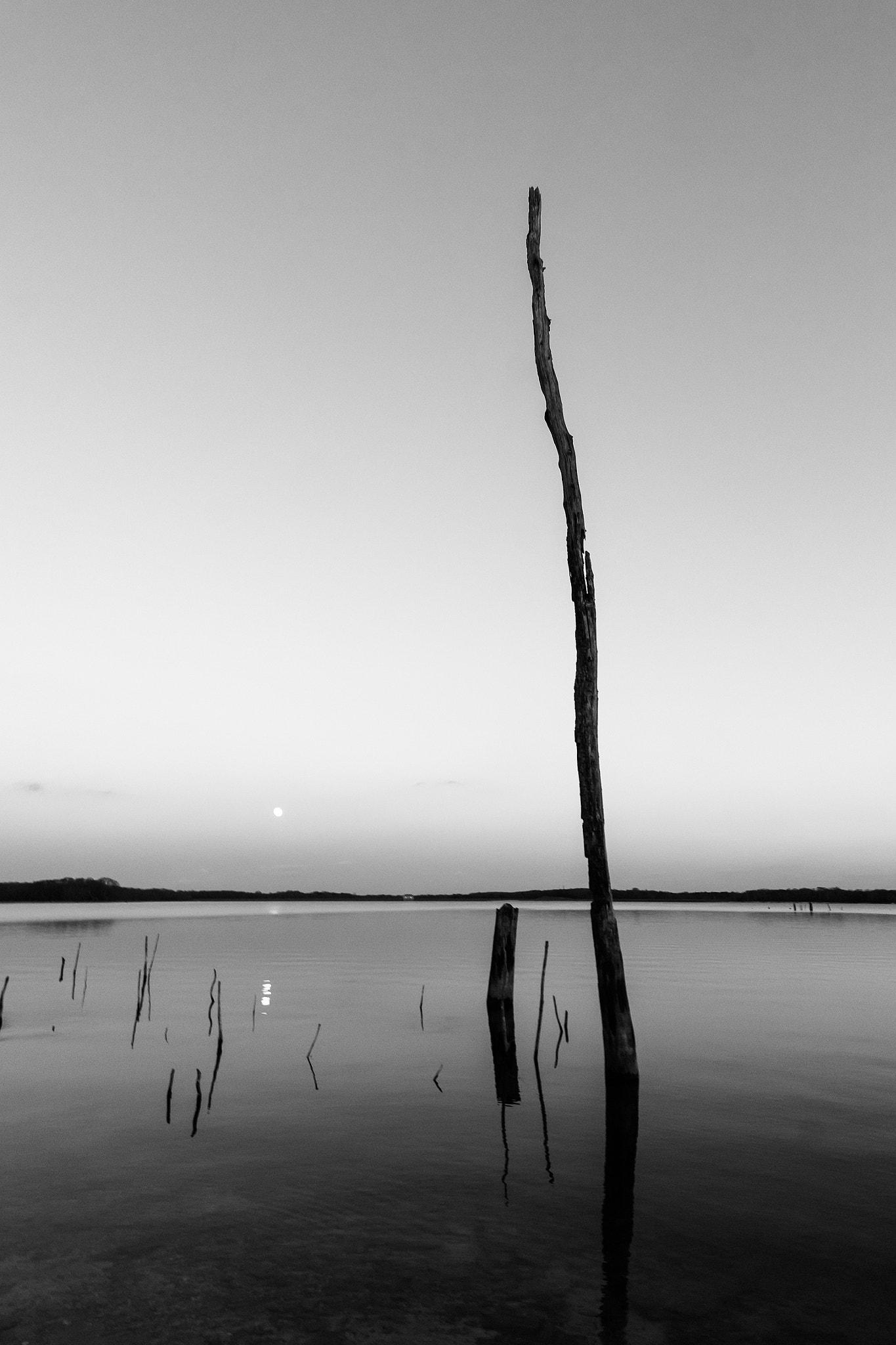 ZEISS Touit 12mm F2.8 sample photo. Manasquan reservoir photography