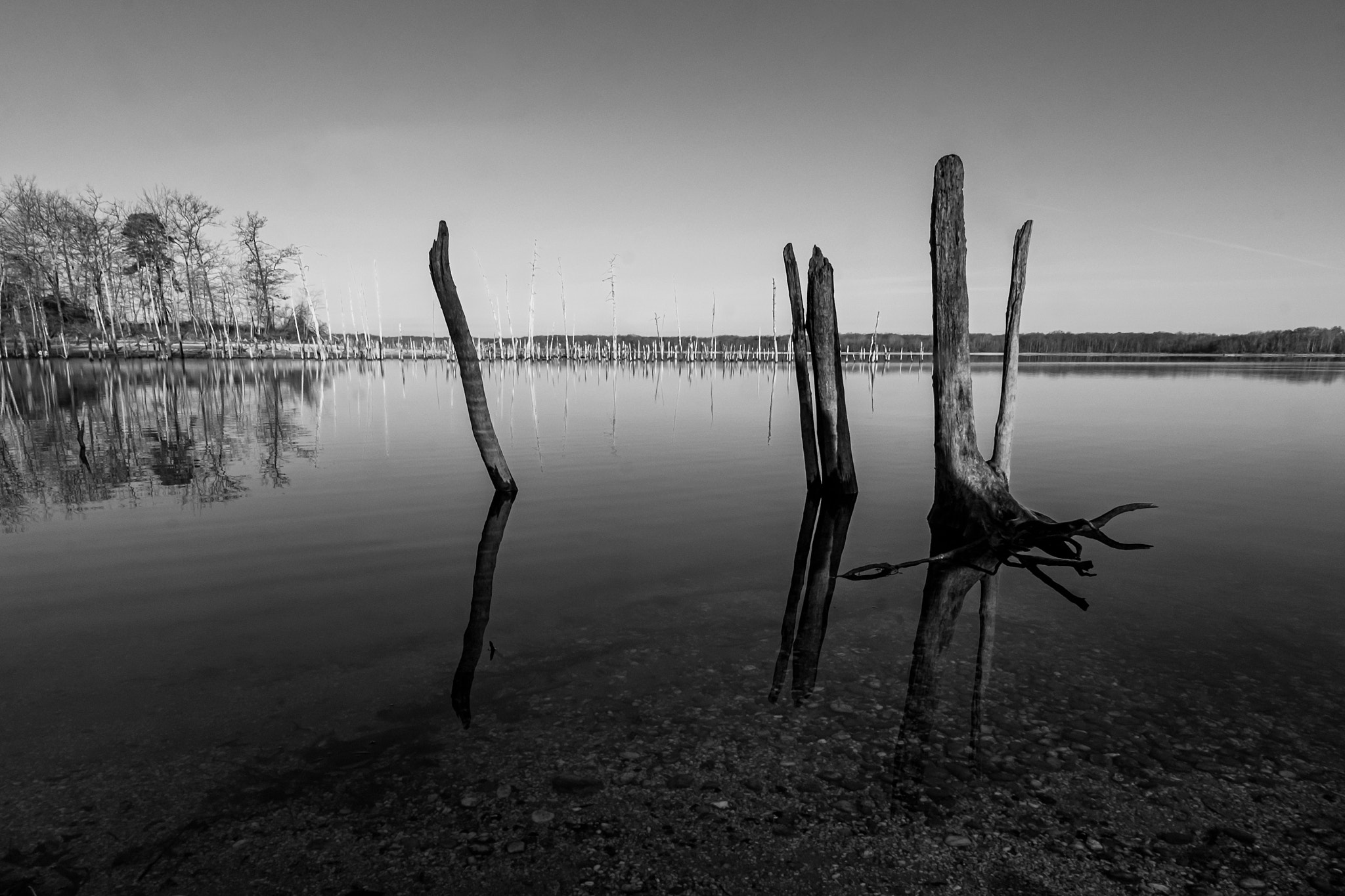 ZEISS Touit 12mm F2.8 sample photo. Manasquan reservoir photography