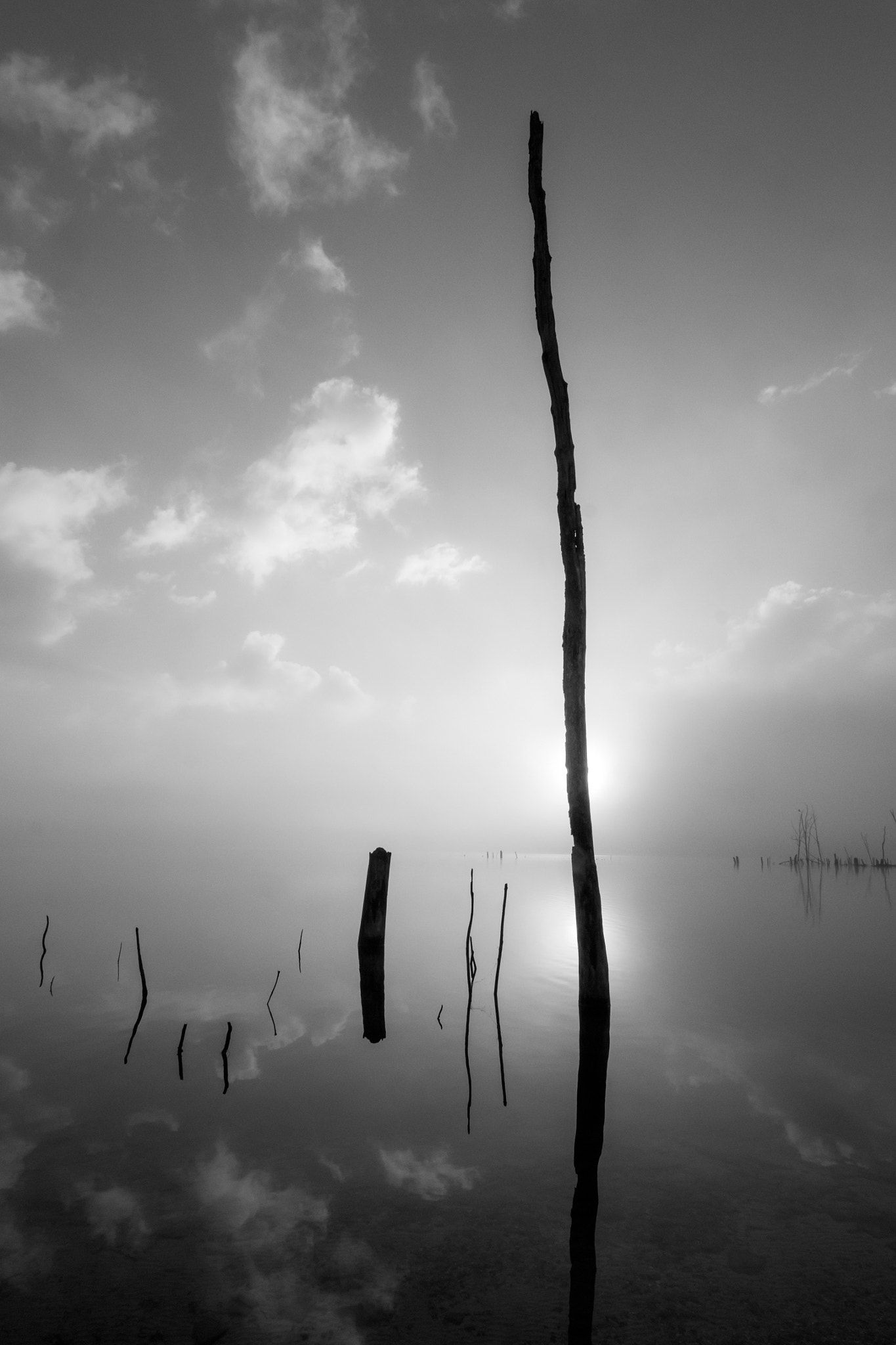 ZEISS Touit 12mm F2.8 sample photo. Manasquan reservoir photography