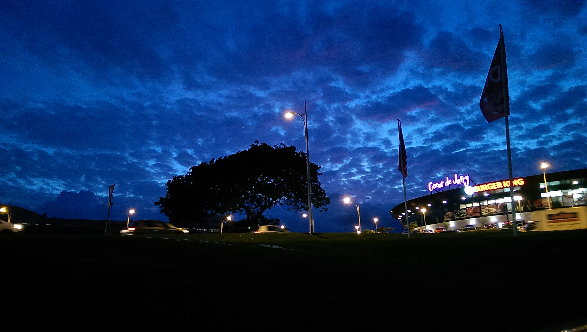 HTC ONE MINI sample photo