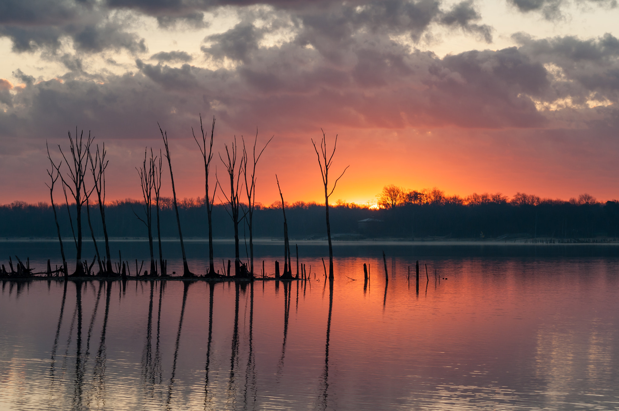Sigma 120-400mm F4.5-5.6 DG OS HSM sample photo. Sunrise at manasquan reservoir photography