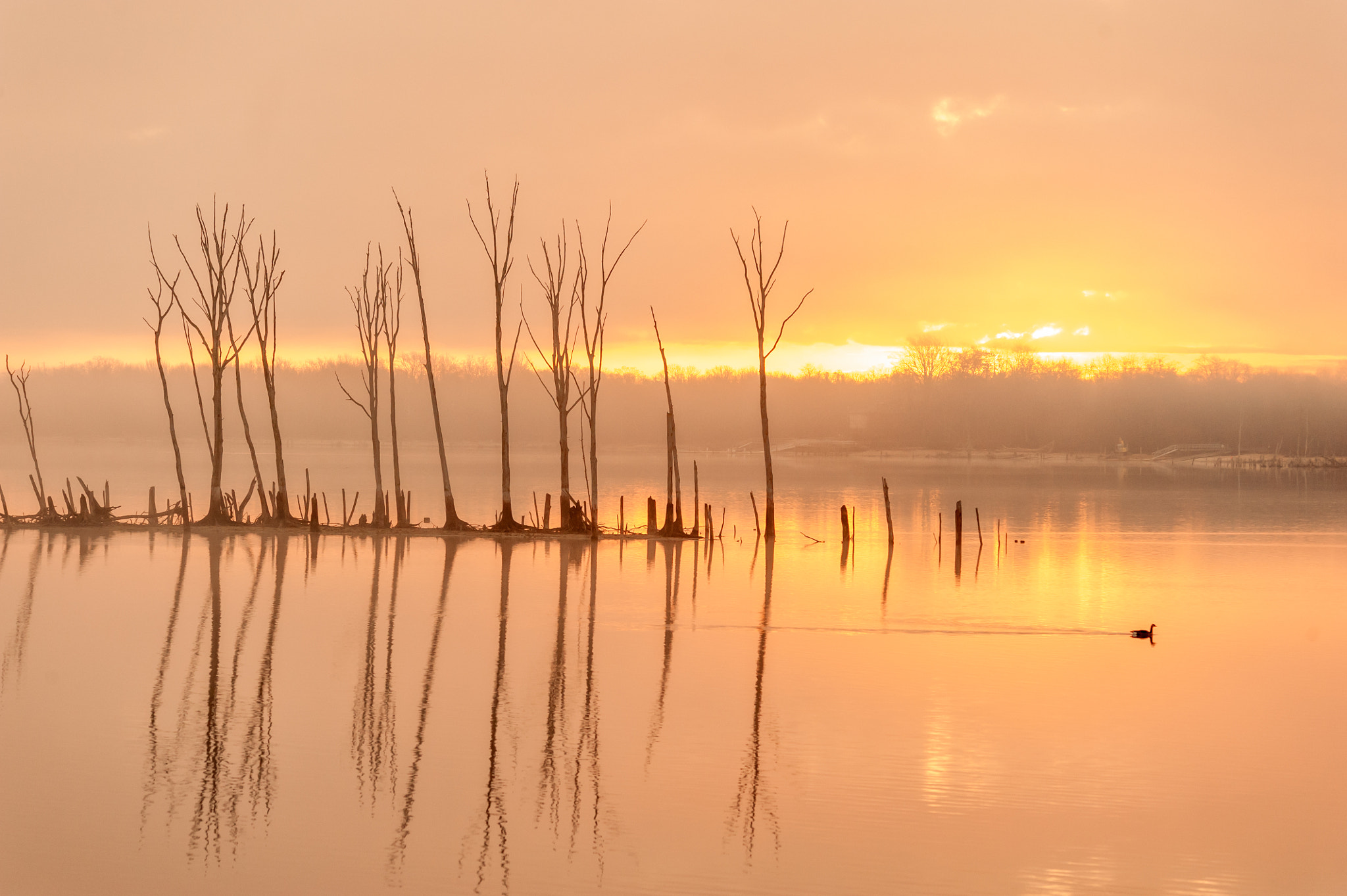 Sigma 120-400mm F4.5-5.6 DG OS HSM sample photo. Sunrise at manasquan reservoir photography