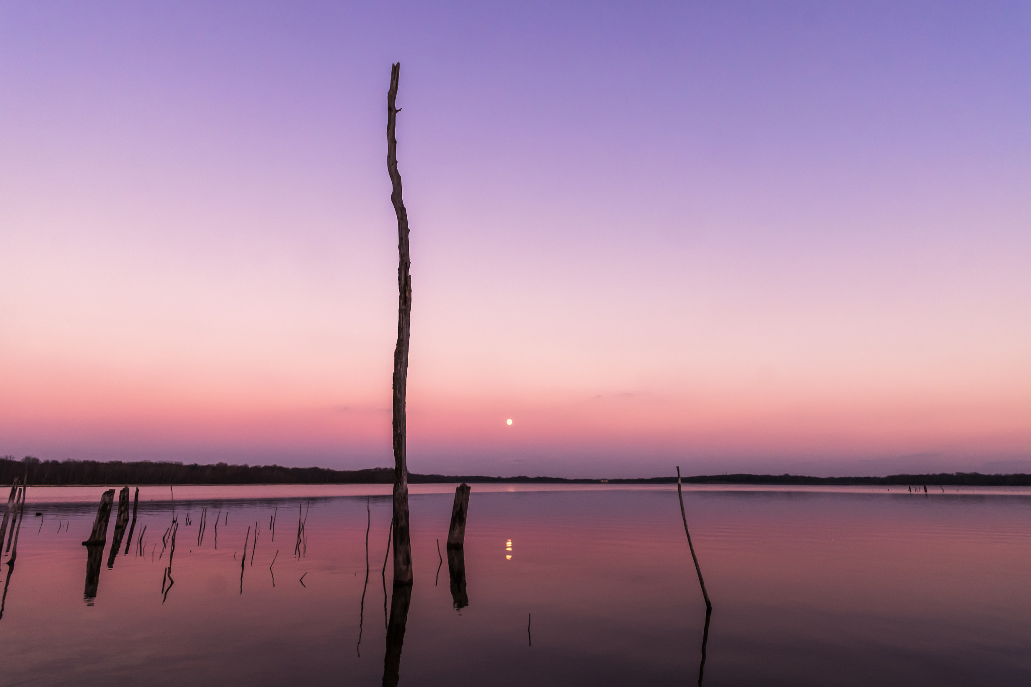 ZEISS Touit 12mm F2.8 sample photo. Sunrise at manasquan reservoir photography