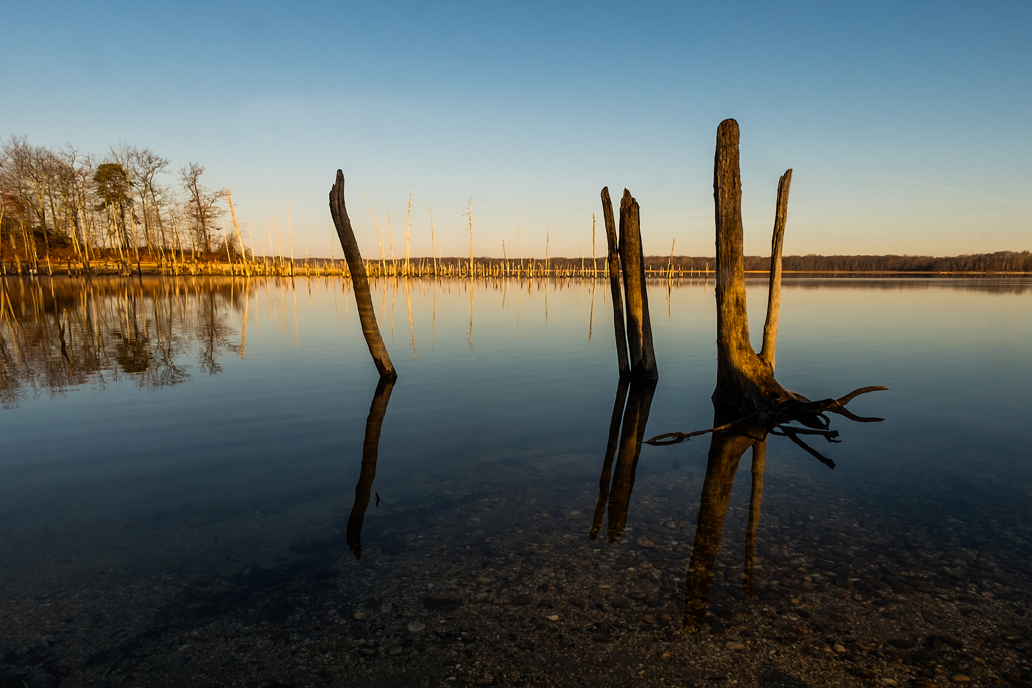 ZEISS Touit 12mm F2.8 sample photo. Sunrise at manasquan reservoir photography