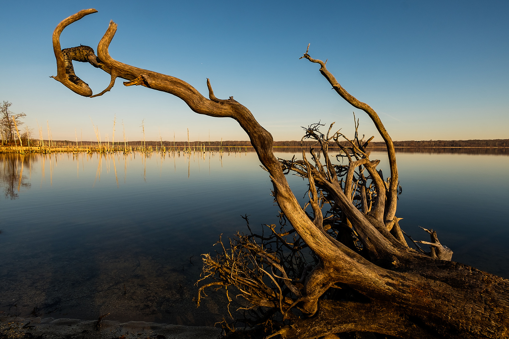 ZEISS Touit 12mm F2.8 sample photo. Sunrise at manasquan reservoir photography