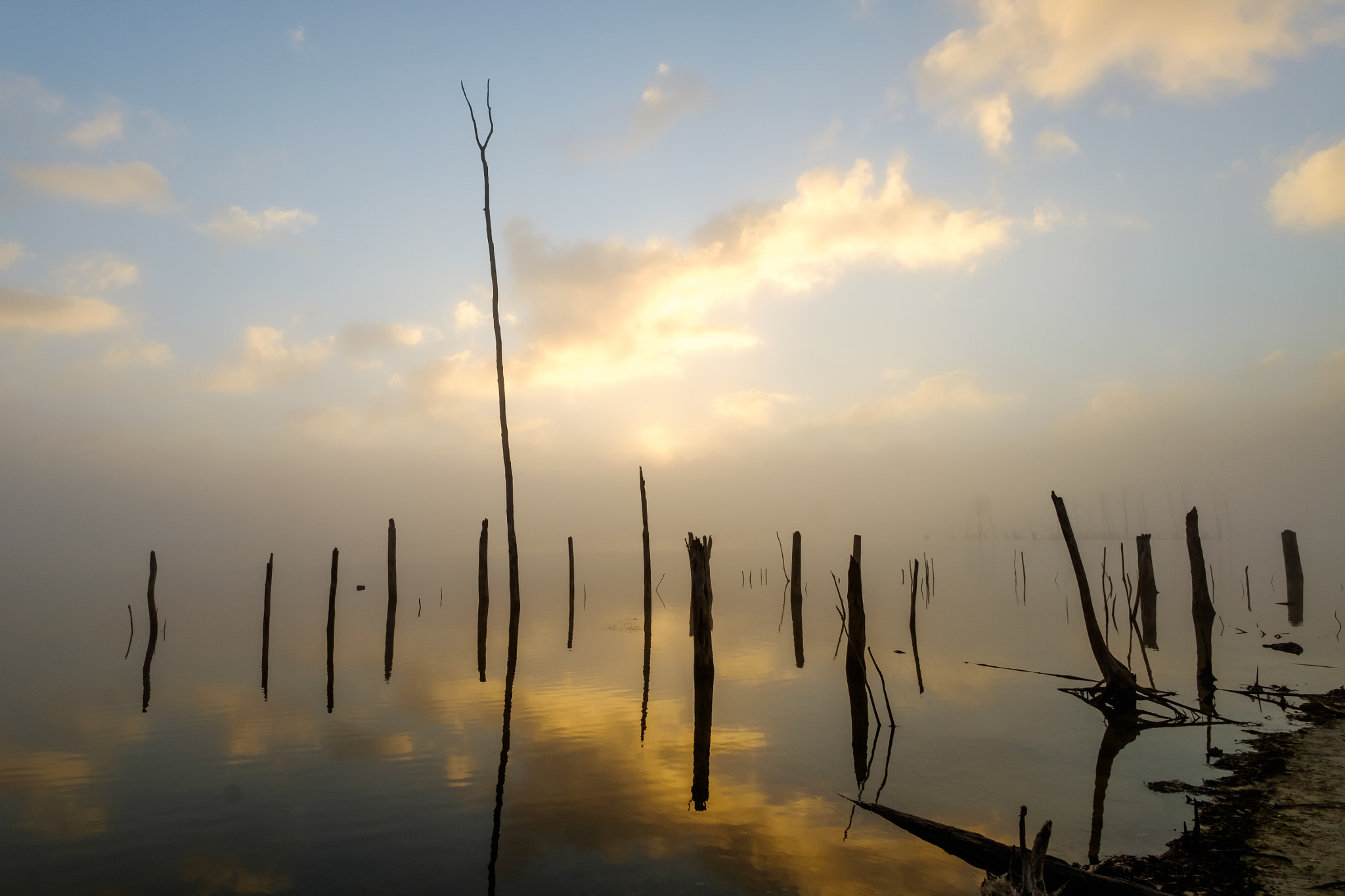 ZEISS Touit 12mm F2.8 sample photo. Sunrise at manasquan reservoir photography
