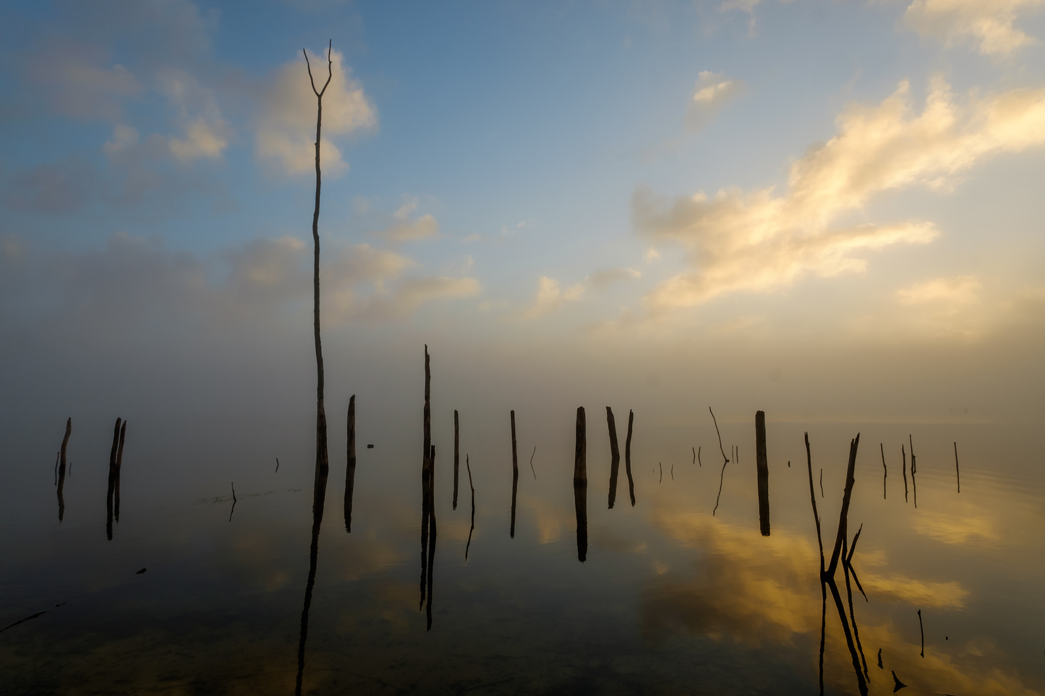 ZEISS Touit 12mm F2.8 sample photo. Sunrise at manasquan reservoir photography