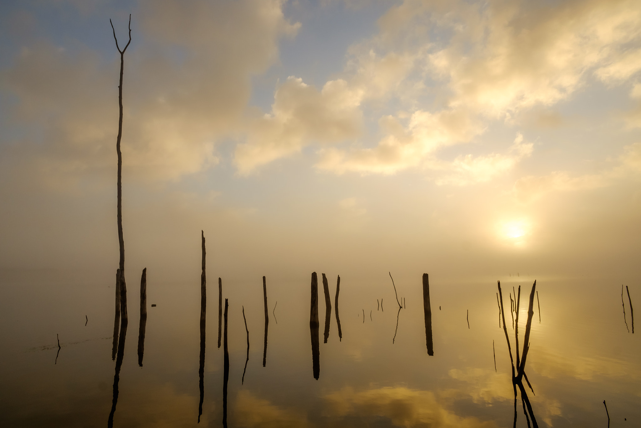 ZEISS Touit 12mm F2.8 sample photo. Sunrise at manasquan reservoir photography