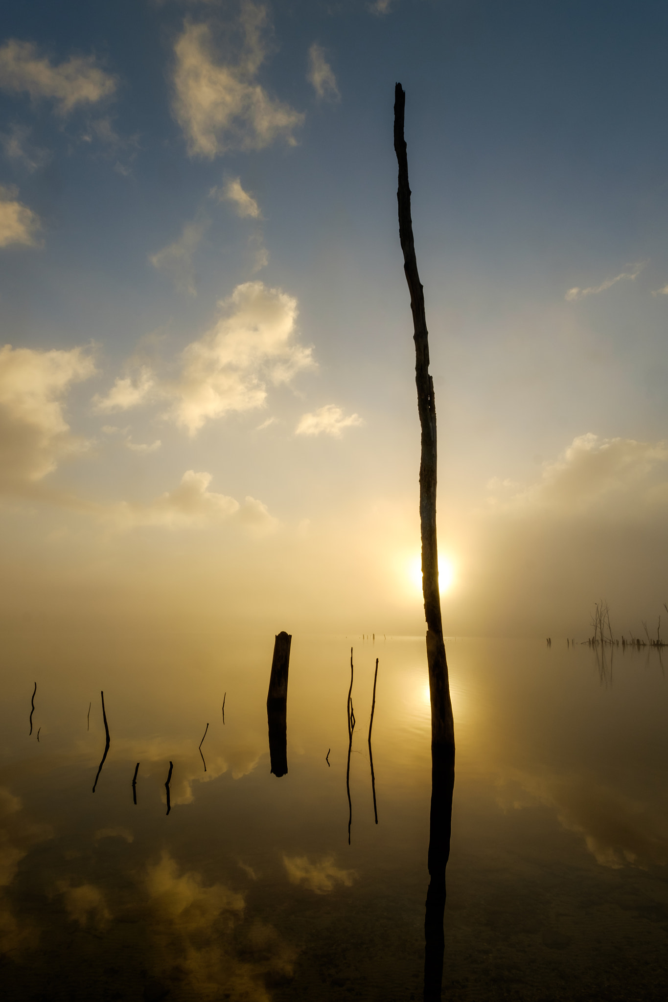 ZEISS Touit 12mm F2.8 sample photo. Sunrise at manasquan reservoir photography