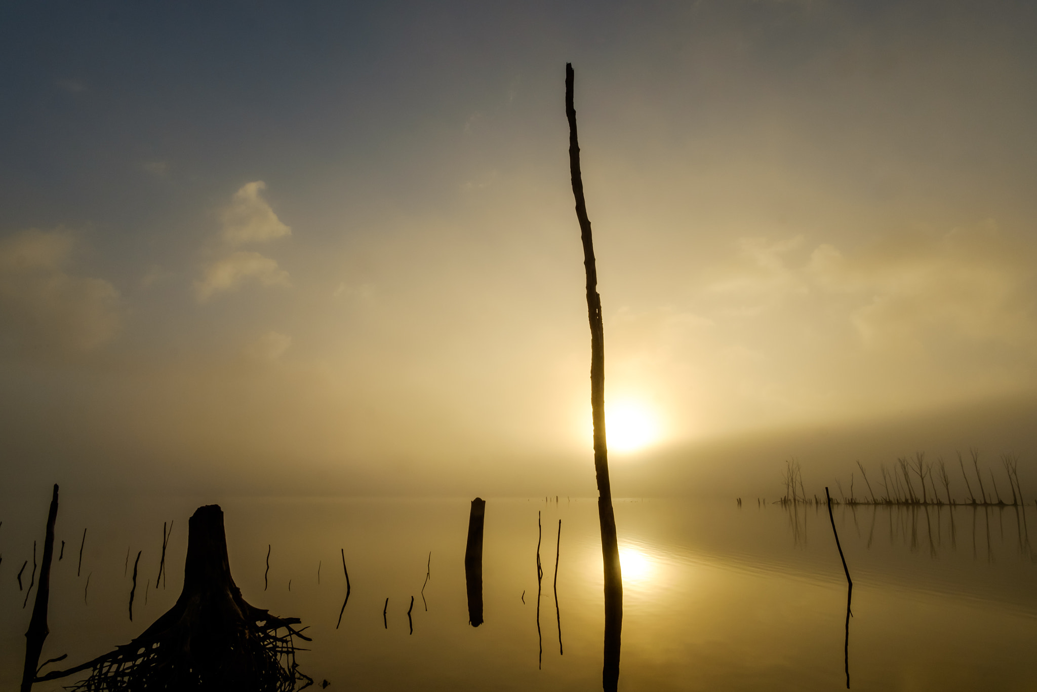 ZEISS Touit 12mm F2.8 sample photo. Sunrise at manasquan reservoir photography