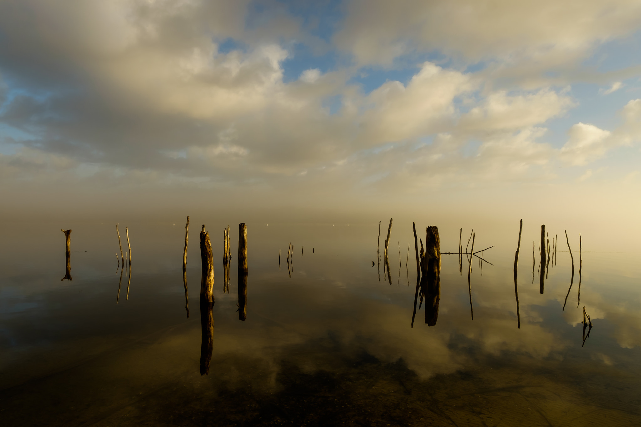 ZEISS Touit 12mm F2.8 sample photo. Sunrise at manasquan reservoir photography