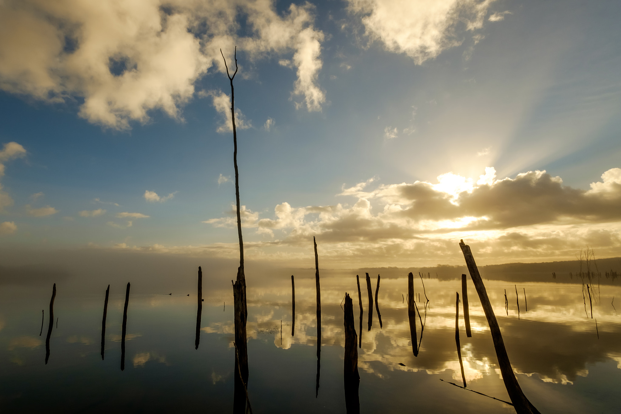 ZEISS Touit 12mm F2.8 sample photo. Sunrise at manasquan reservoir photography