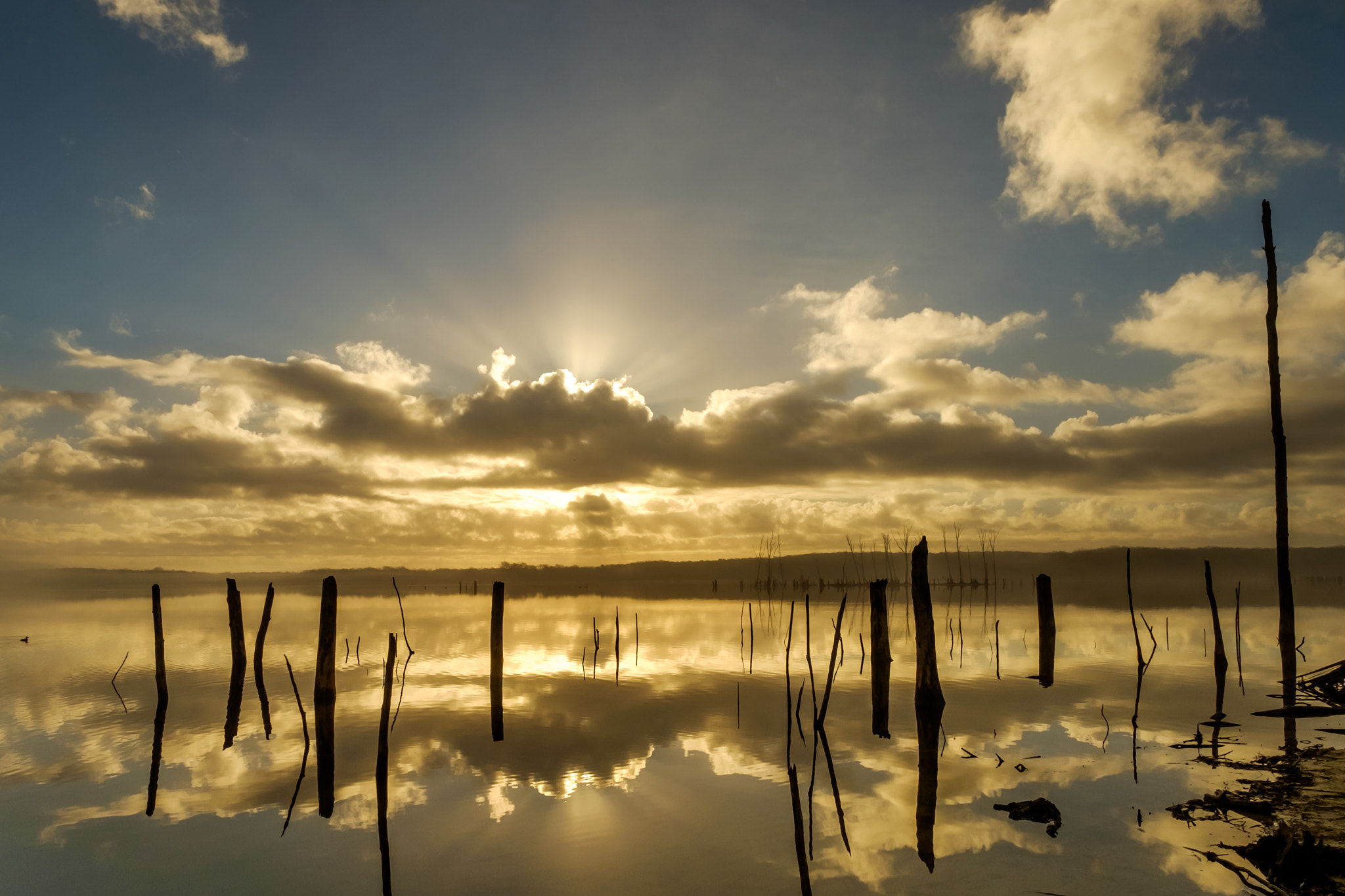 ZEISS Touit 12mm F2.8 sample photo. Sunrise at manasquan reservoir photography