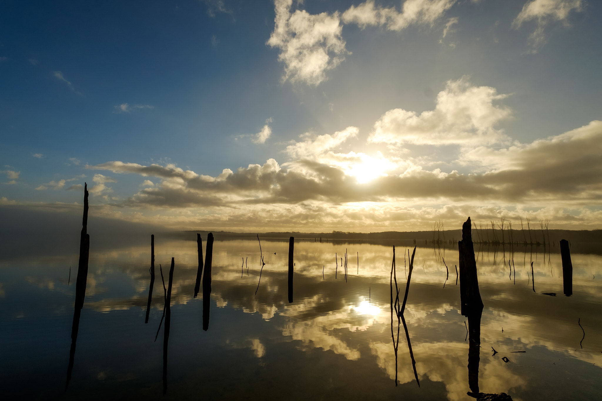 ZEISS Touit 12mm F2.8 sample photo. Sunrise at manasquan reservoir photography