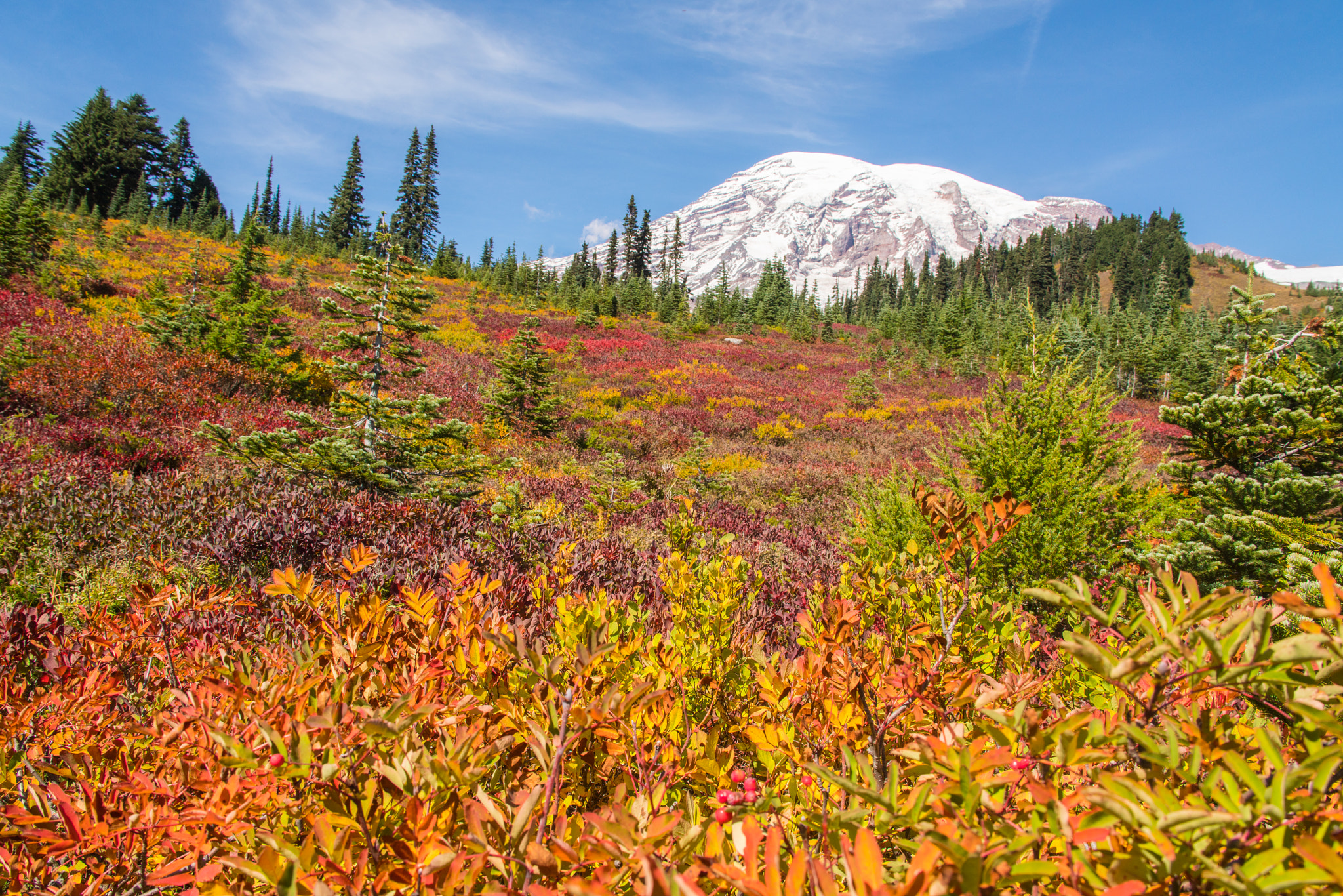 Canon EF 28-135mm F3.5-5.6 IS USM sample photo. Rainier photography