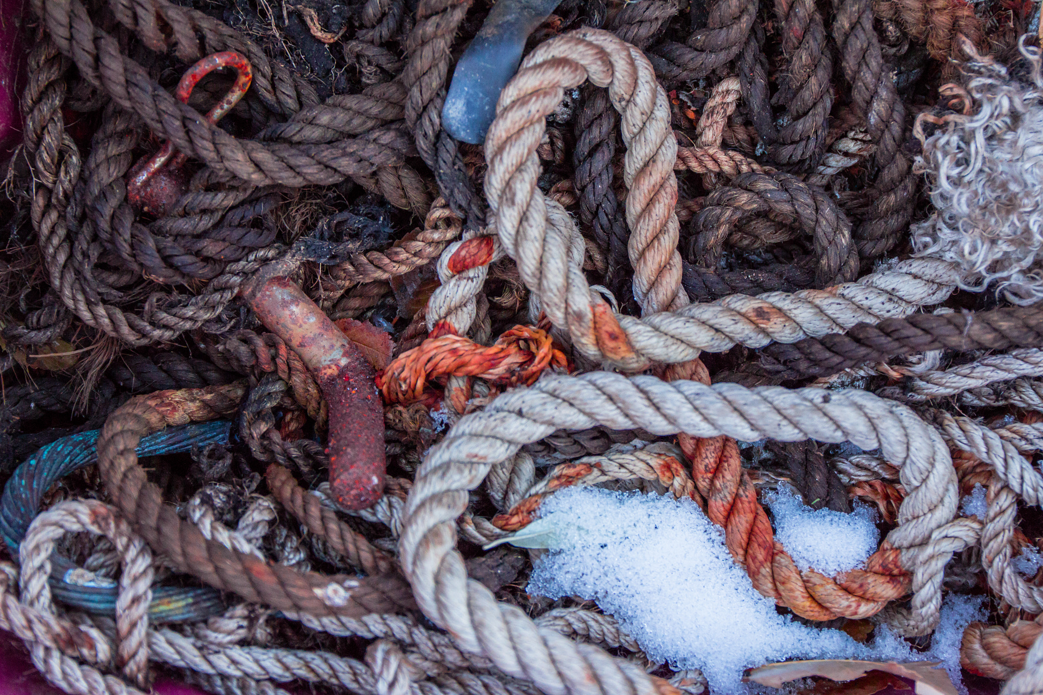 Canon EF 24-70mm F4L IS USM sample photo. Ropes photography