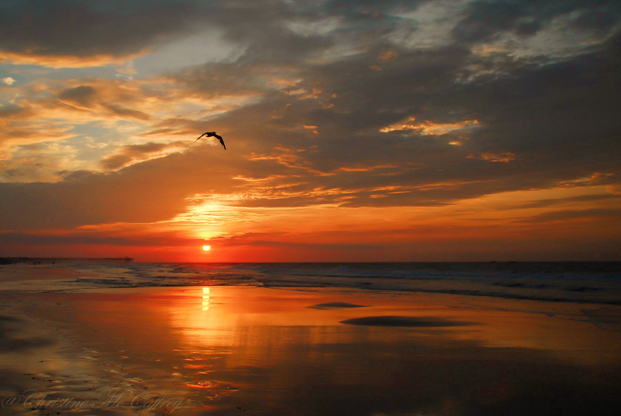 Nikon D200 sample photo. ~my happy place~ photography