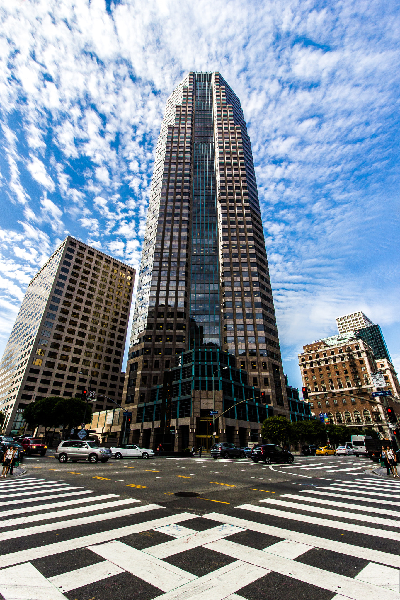 Canon EF-S 10-18mm F4.5–5.6 IS STM sample photo. From the ground up photography