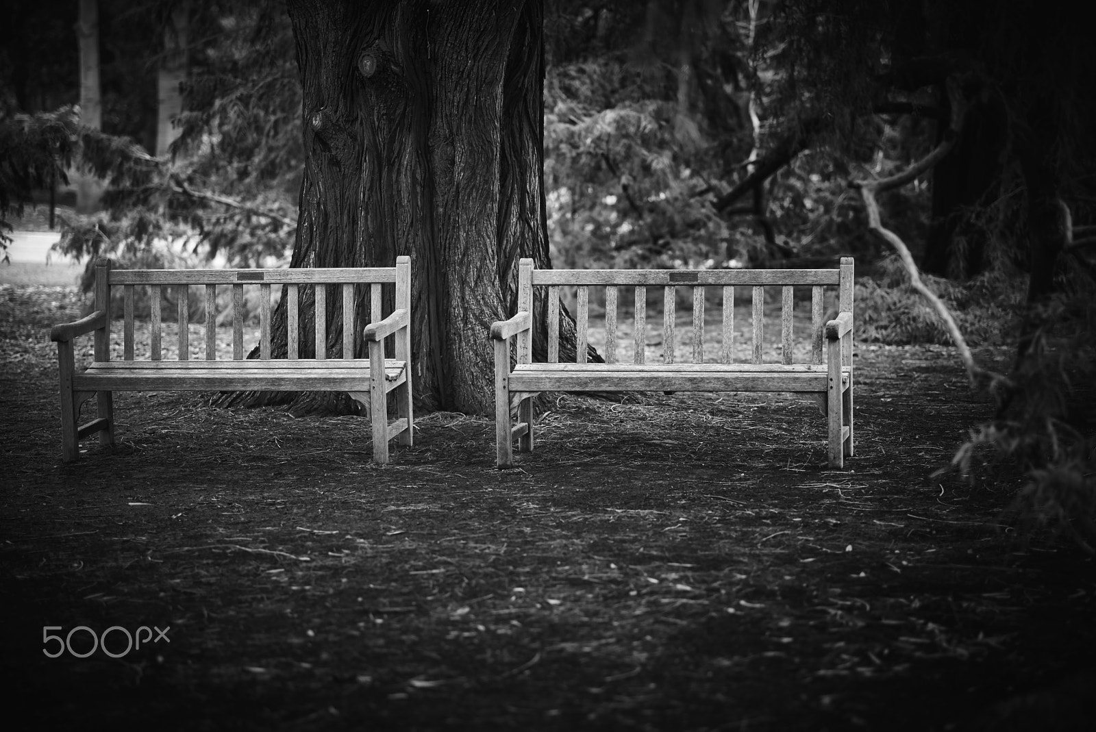 Leica APO-Summicron-M 90mm F2 ASPH sample photo. The hundington library: lover's benchs photography
