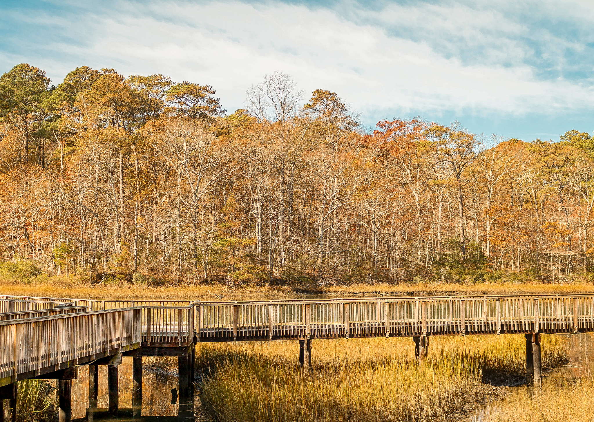 Canon EOS 760D (EOS Rebel T6s / EOS 8000D) sample photo. Fall boardwalk photography