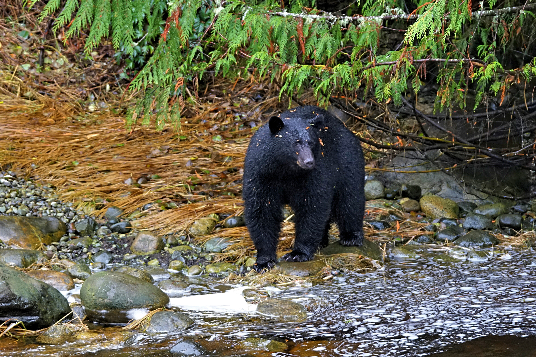 Sony 70-300mm F4.5-5.6 G SSM sample photo. Getting ready to fish photography