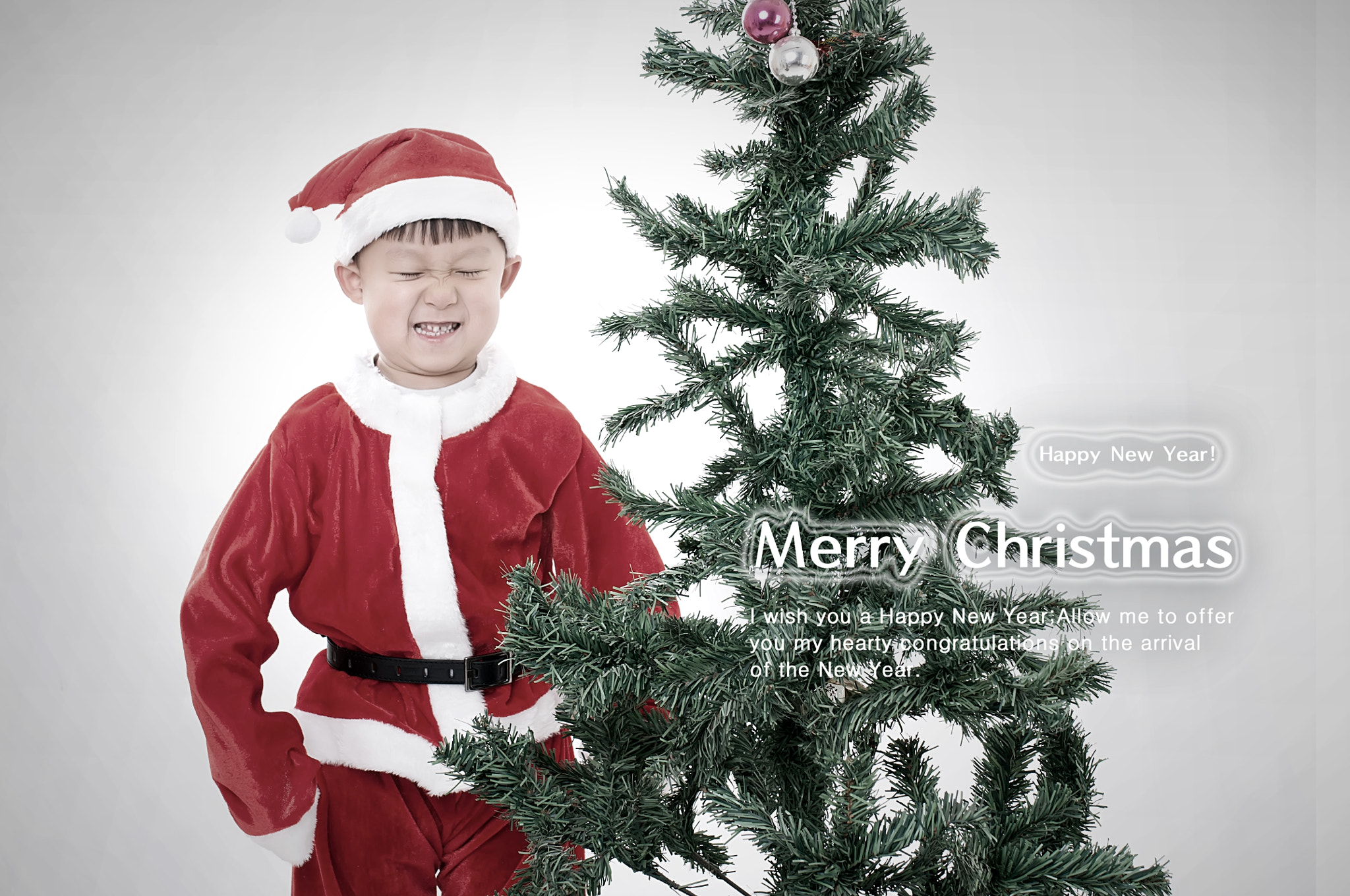 Nikon D90 + Sigma 35mm F1.4 DG HSM Art sample photo. Merry christmas photography