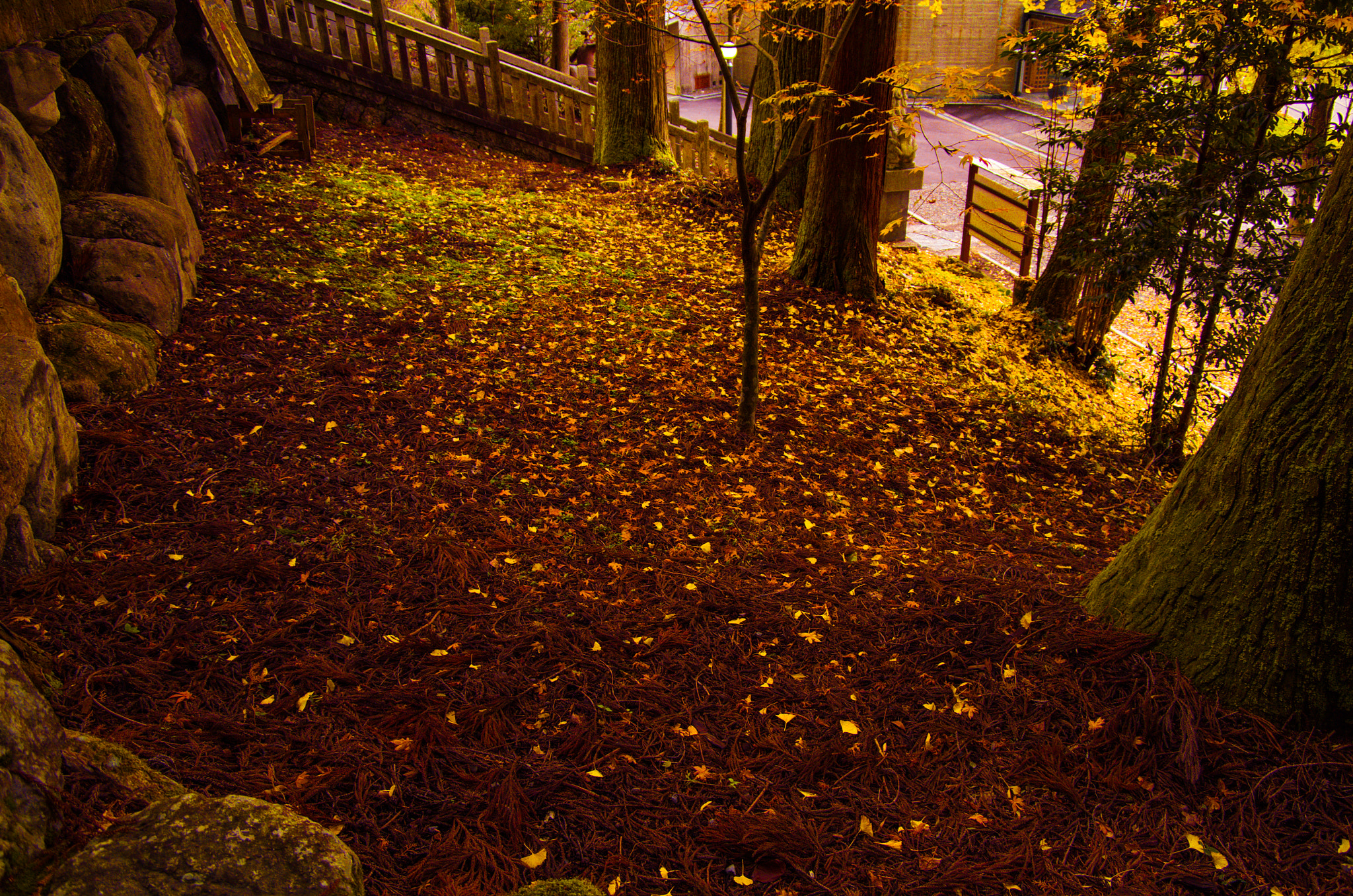 Pentax smc DA 16-45mm F4 ED AL sample photo. 名称未設定 photography