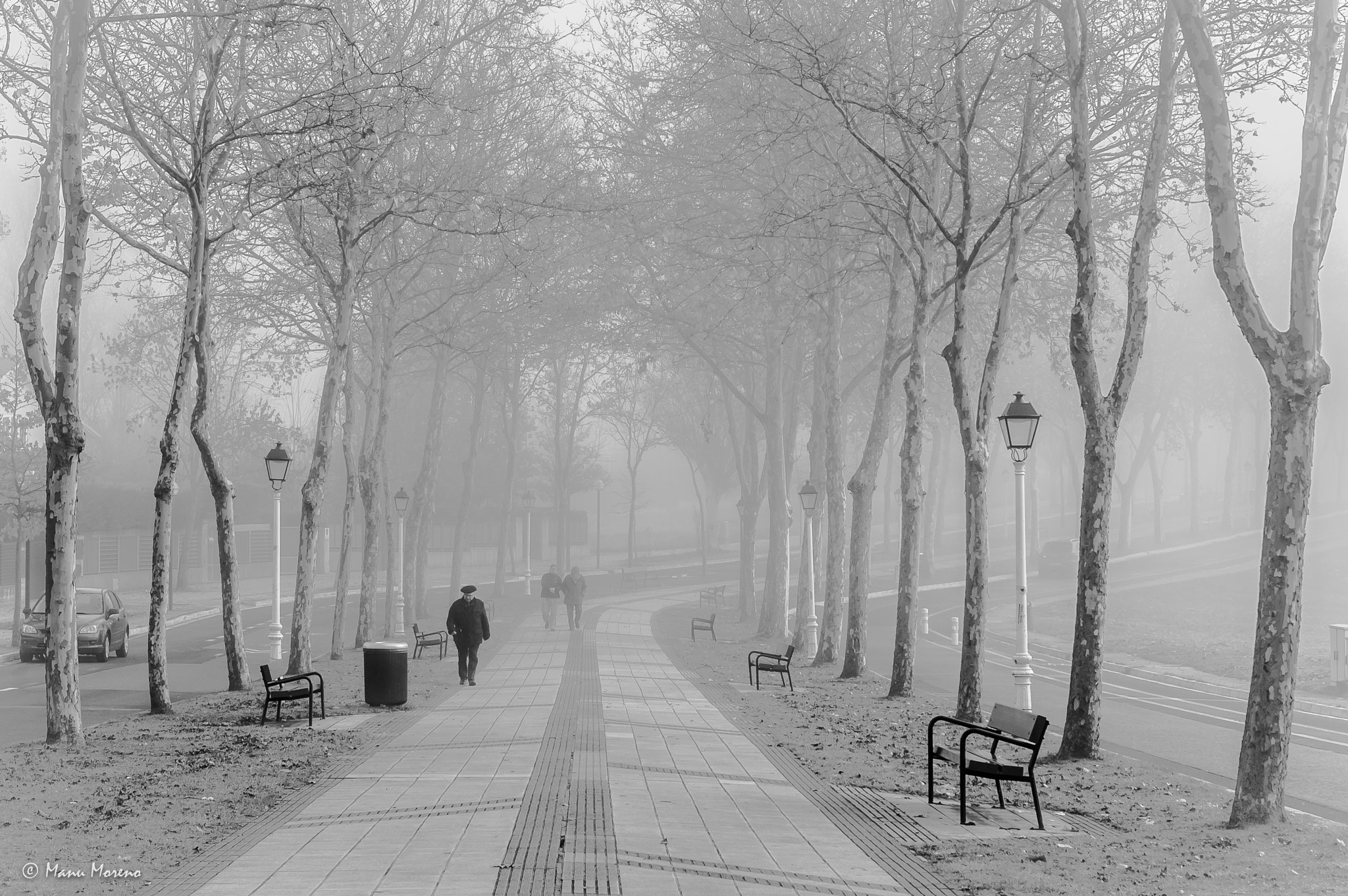 Sony Alpha NEX-F3 + Sony E 35mm F1.8 OSS sample photo. Paseando entre la niebla photography