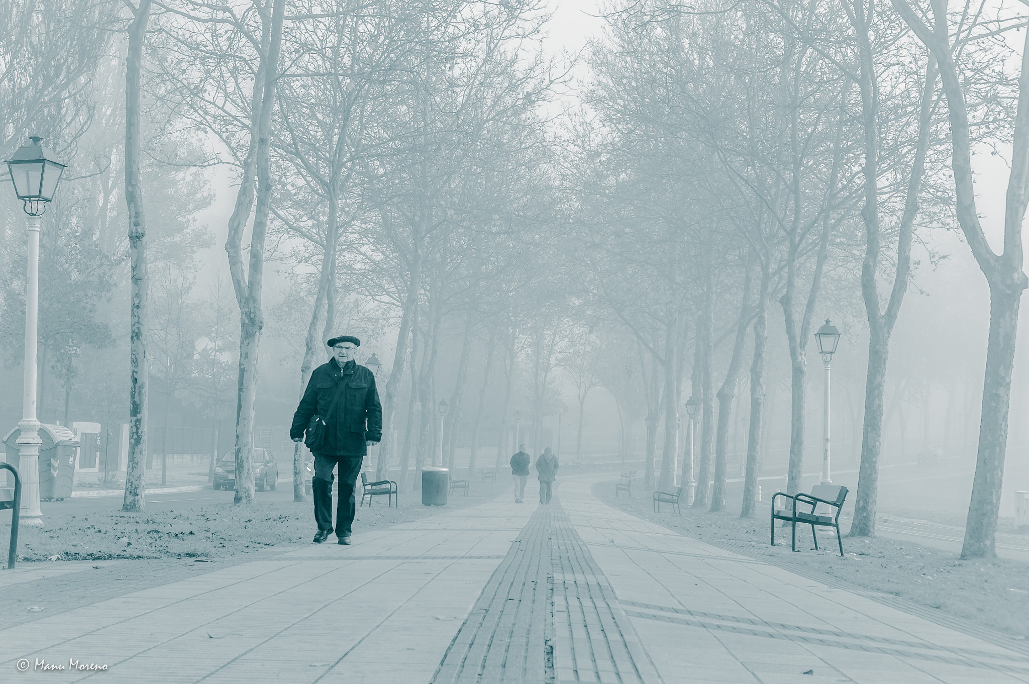 Sony Alpha NEX-F3 + Sony E 35mm F1.8 OSS sample photo. Paseando entre la niebla photography