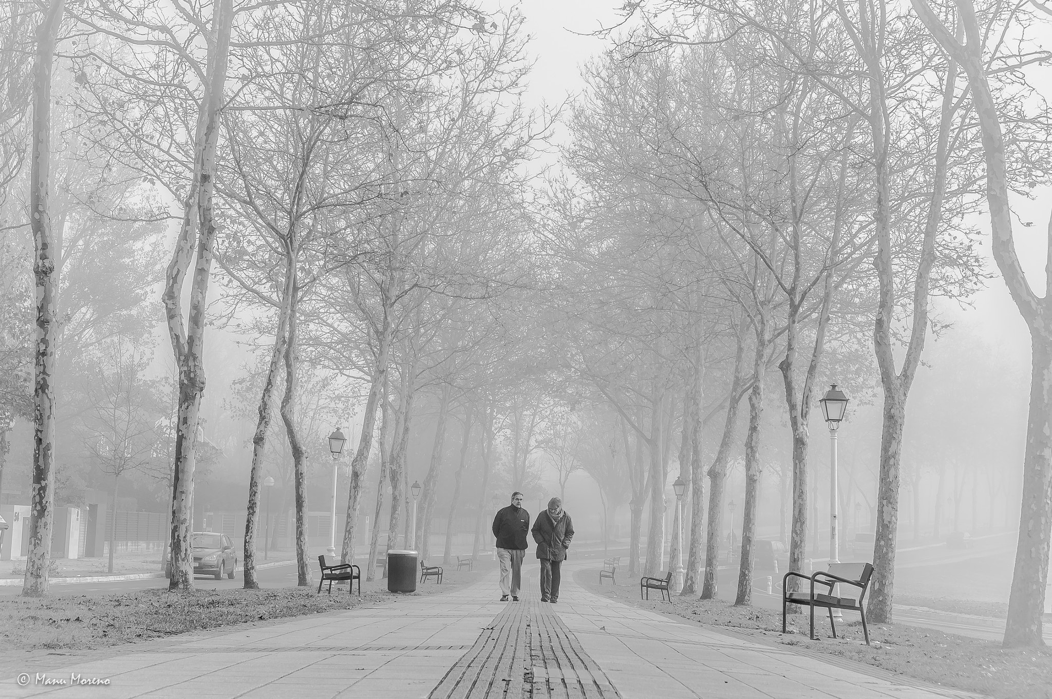 Sony Alpha NEX-F3 + Sony E 35mm F1.8 OSS sample photo. Paseando entre la niebla photography