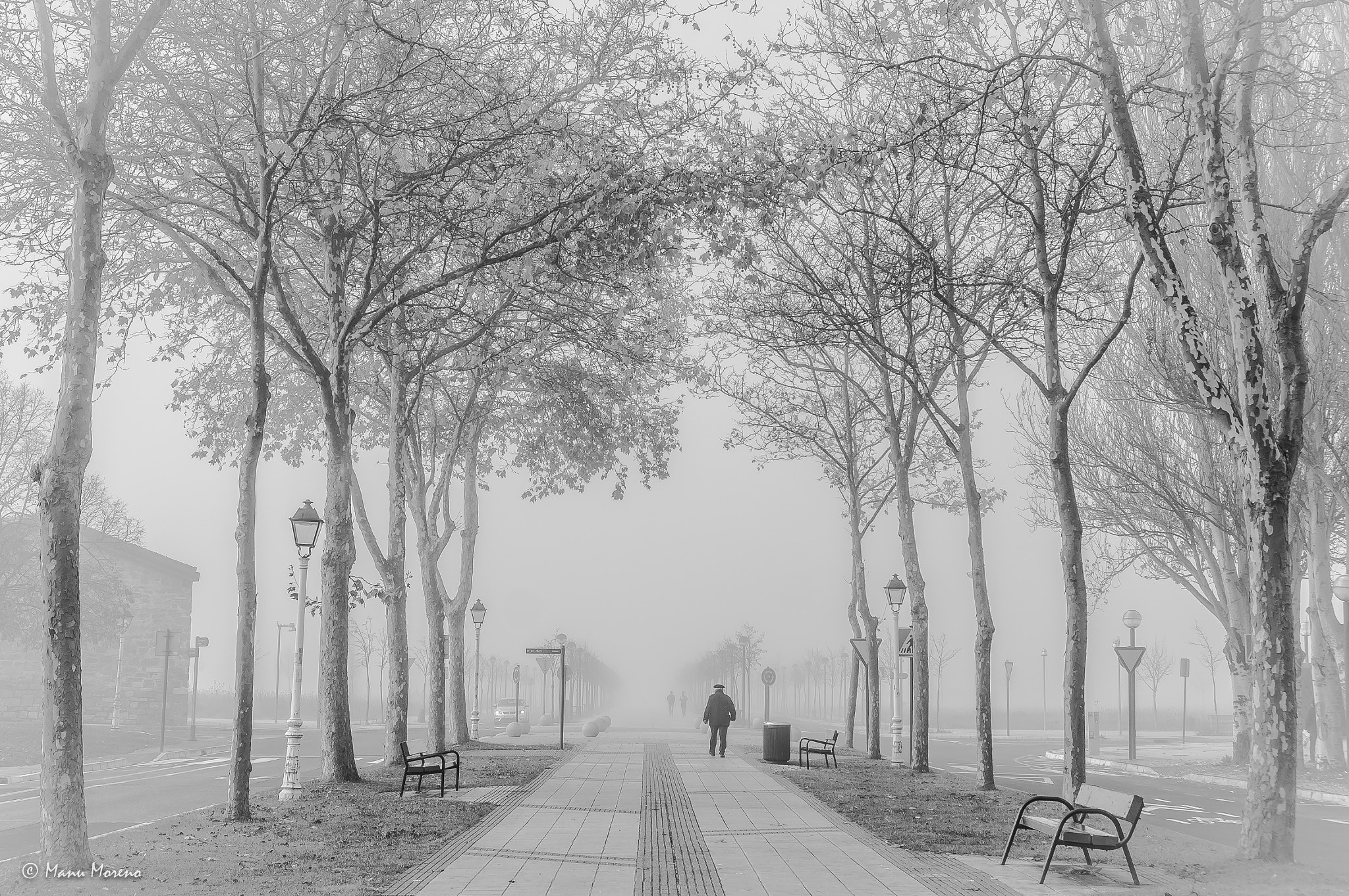 Sony Alpha NEX-F3 + Sony E 35mm F1.8 OSS sample photo. Paseando entre la niebla photography