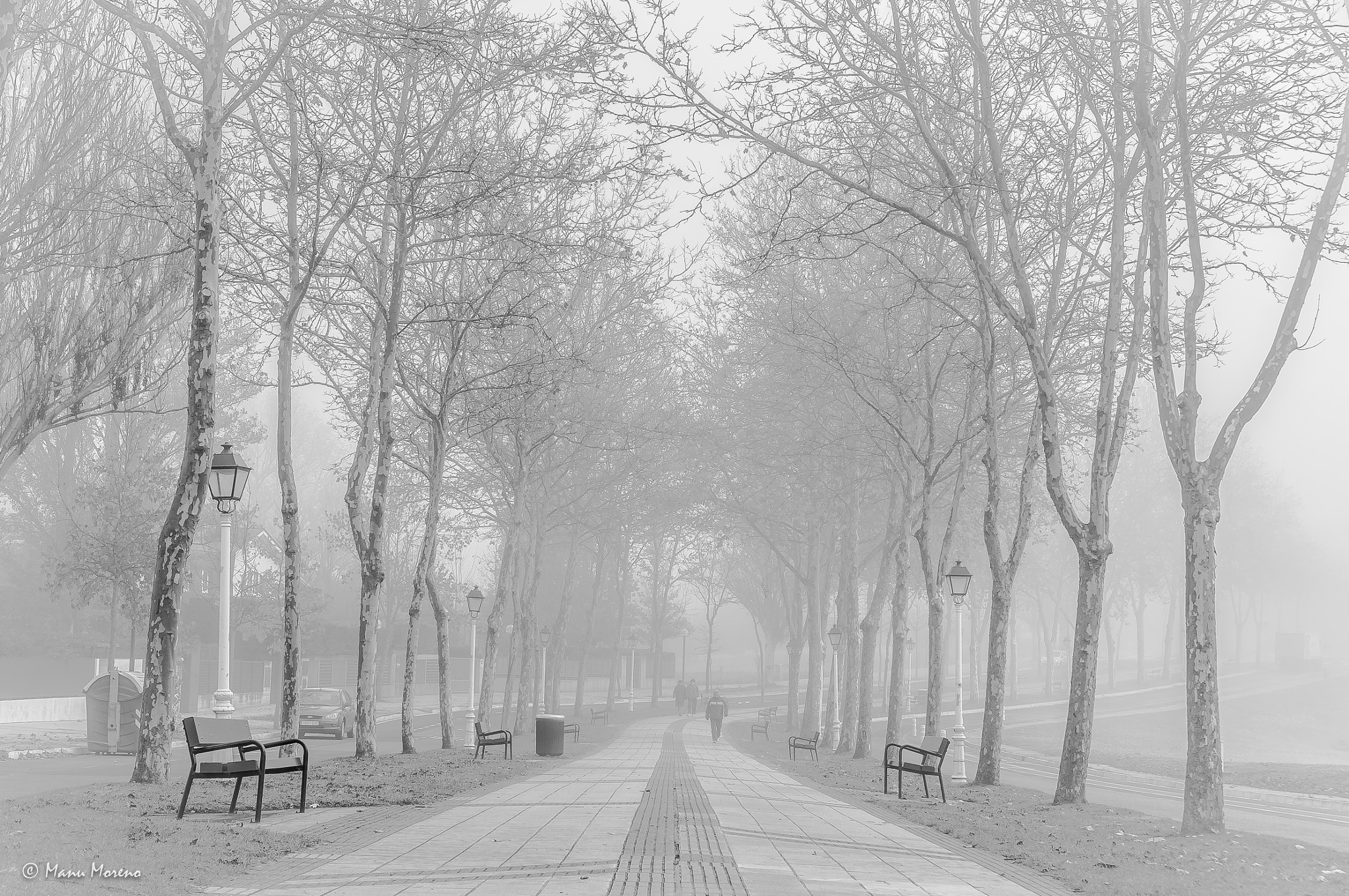 Sony Alpha NEX-F3 + Sony E 35mm F1.8 OSS sample photo. Paseando entre la niebla photography