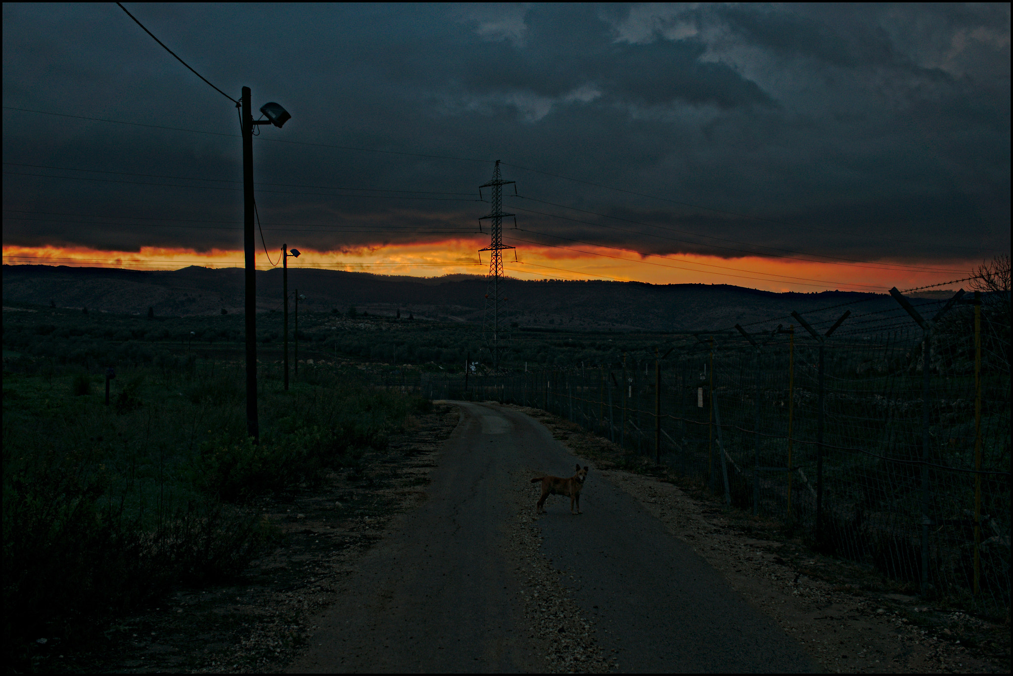 Sony Alpha NEX-5N + Sigma 30mm F2.8 EX DN sample photo. Sunrise is a stripe today photography