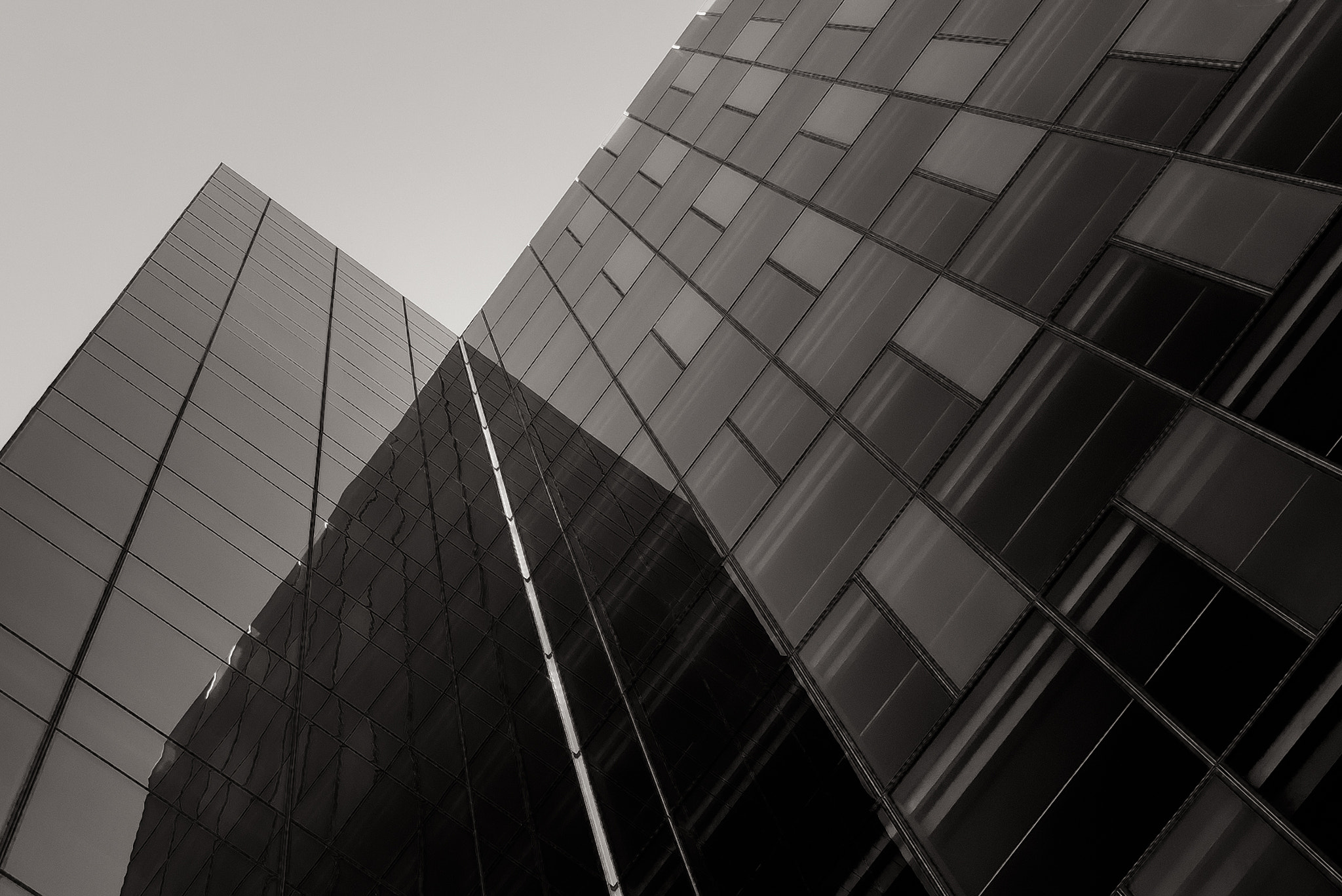 Sony a7R + Canon EF 24-70mm F2.8L USM sample photo. Tripping  photography