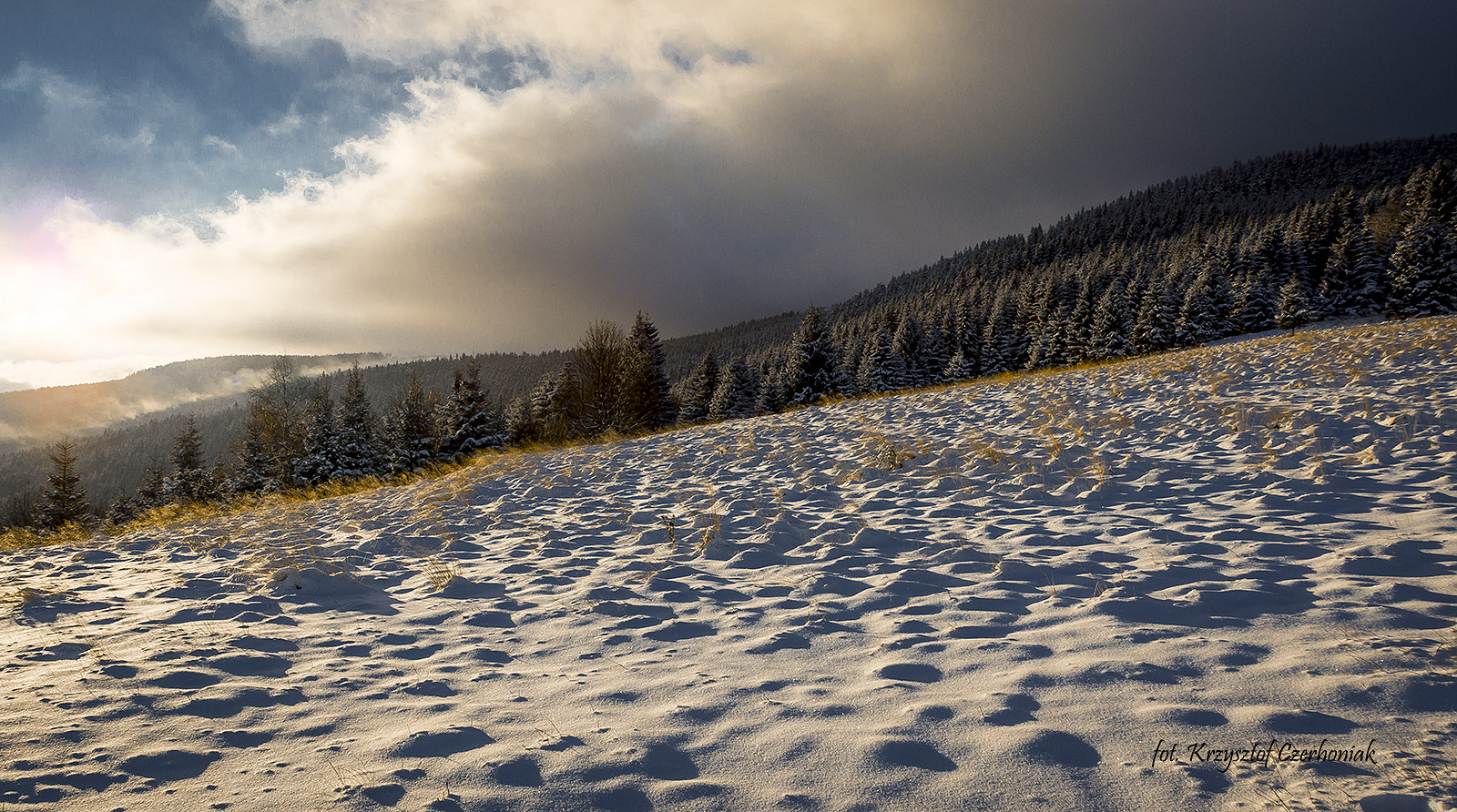 Tamron 18-270mm F3.5-6.3 Di II PZD sample photo. ...... photography