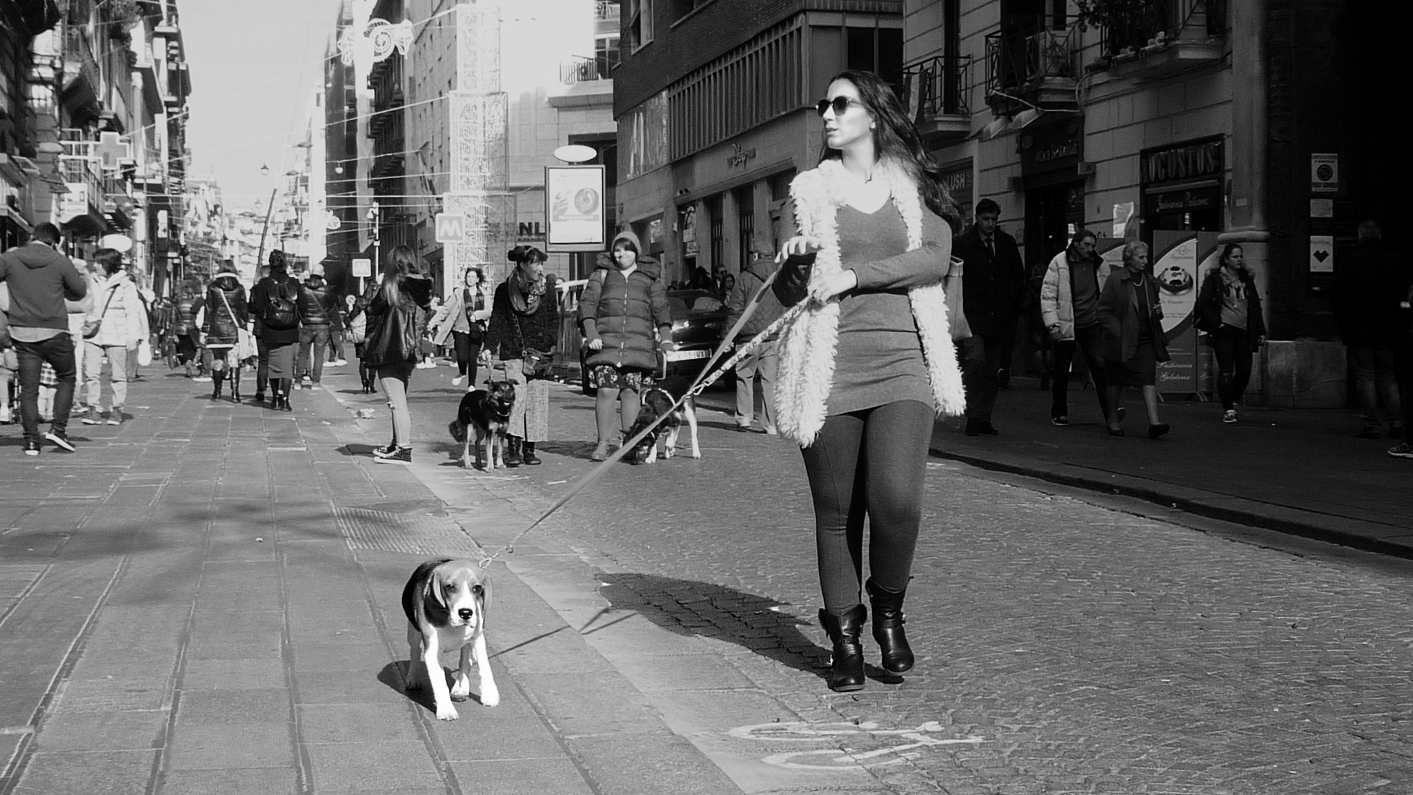 Panasonic DMC-FX150 sample photo. A passeggio col cane photography