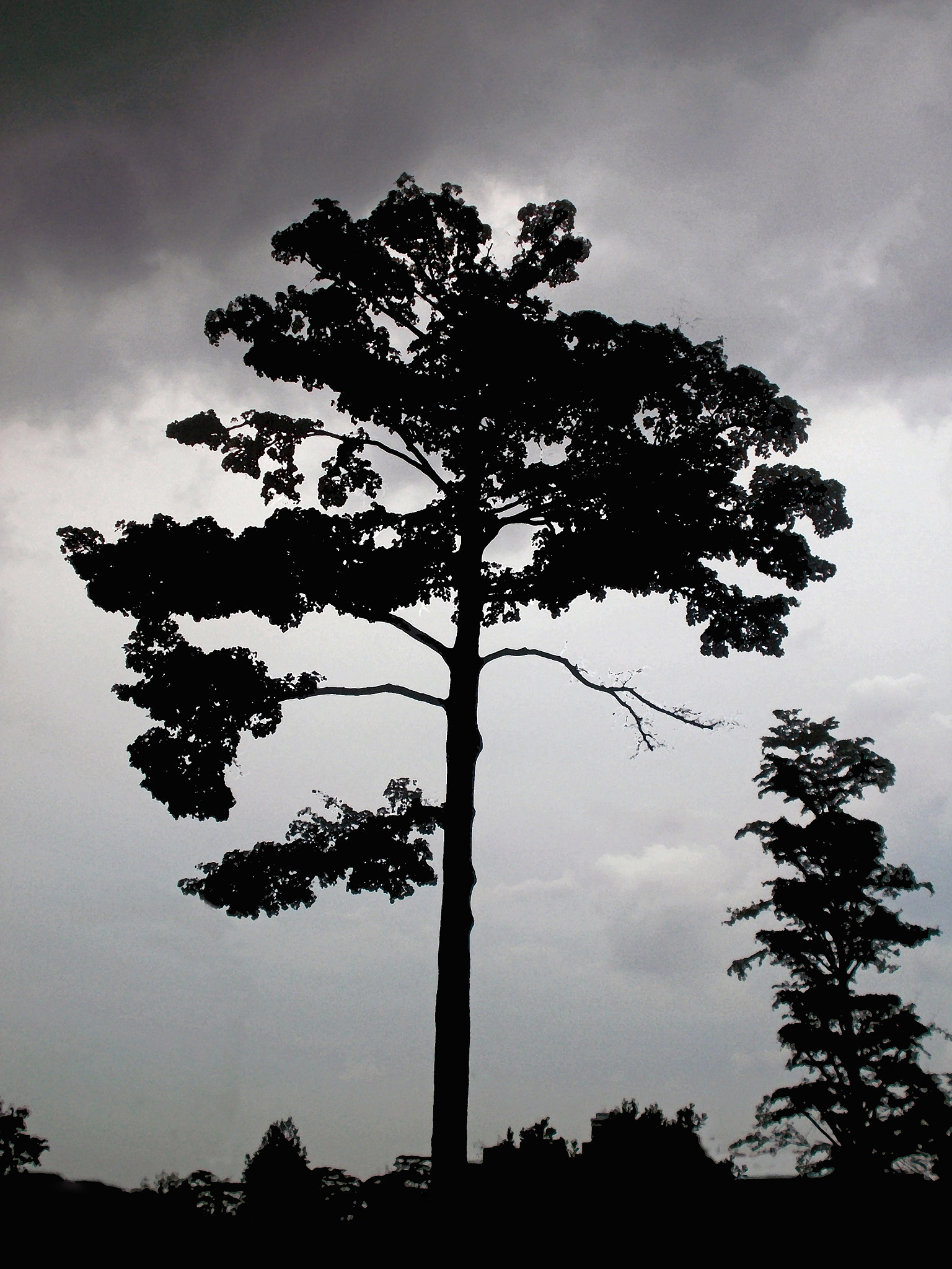 Nikon COOLPIX L27 sample photo. Awaiting the storm photography