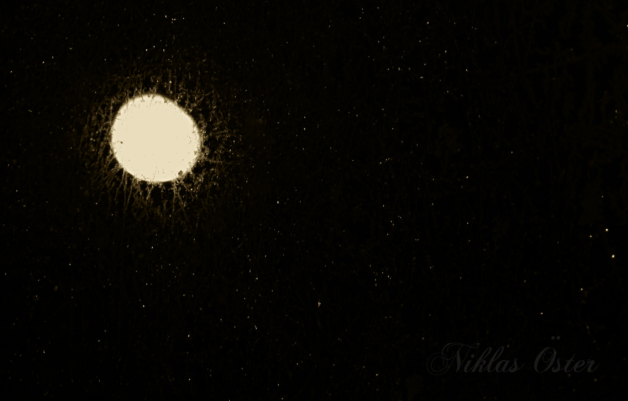 Pentax K-50 + Tamron SP AF 90mm F2.8 Di Macro sample photo. A starry sky... photography