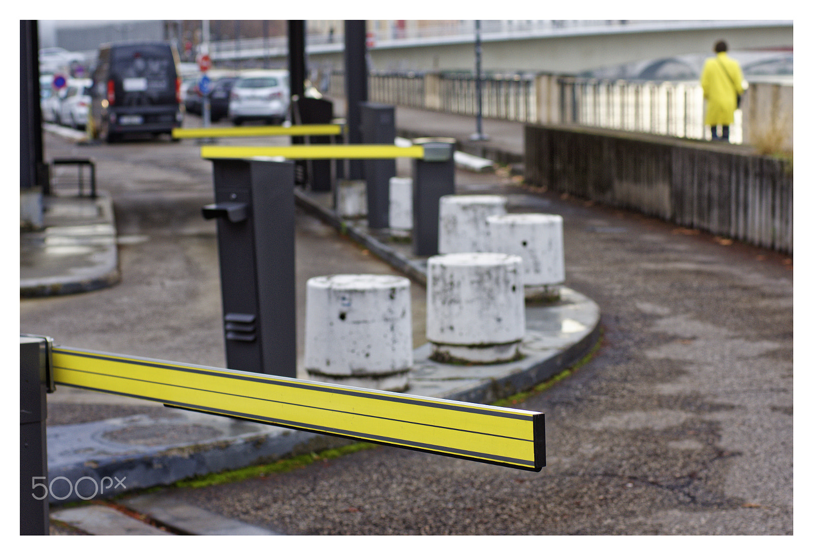 Sony SLT-A77 + Sony 50mm F1.4 sample photo. Jaune photography