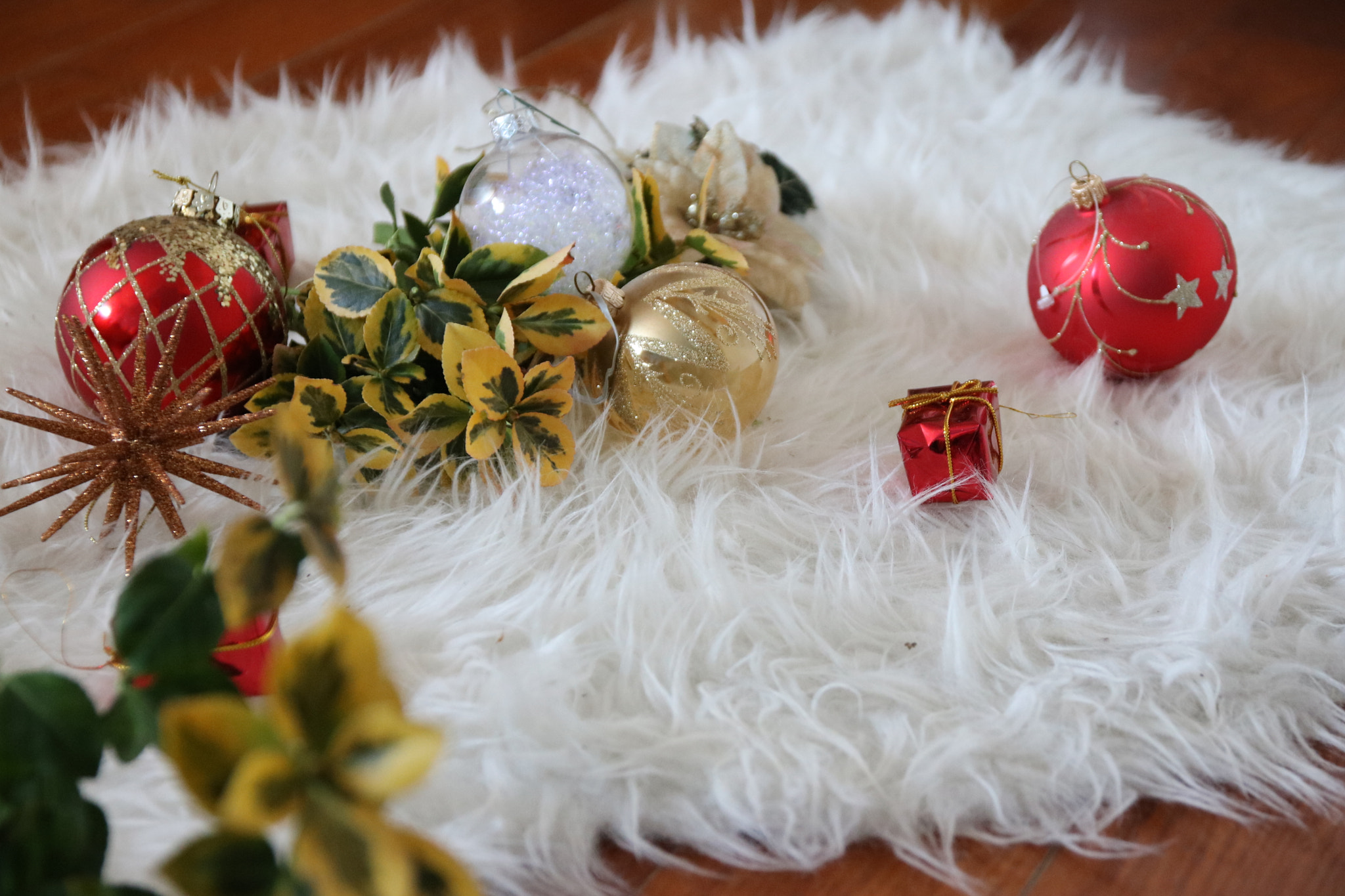 Sigma 17-70mm F2.8-4 DC Macro OS HSM sample photo. Christmas photography