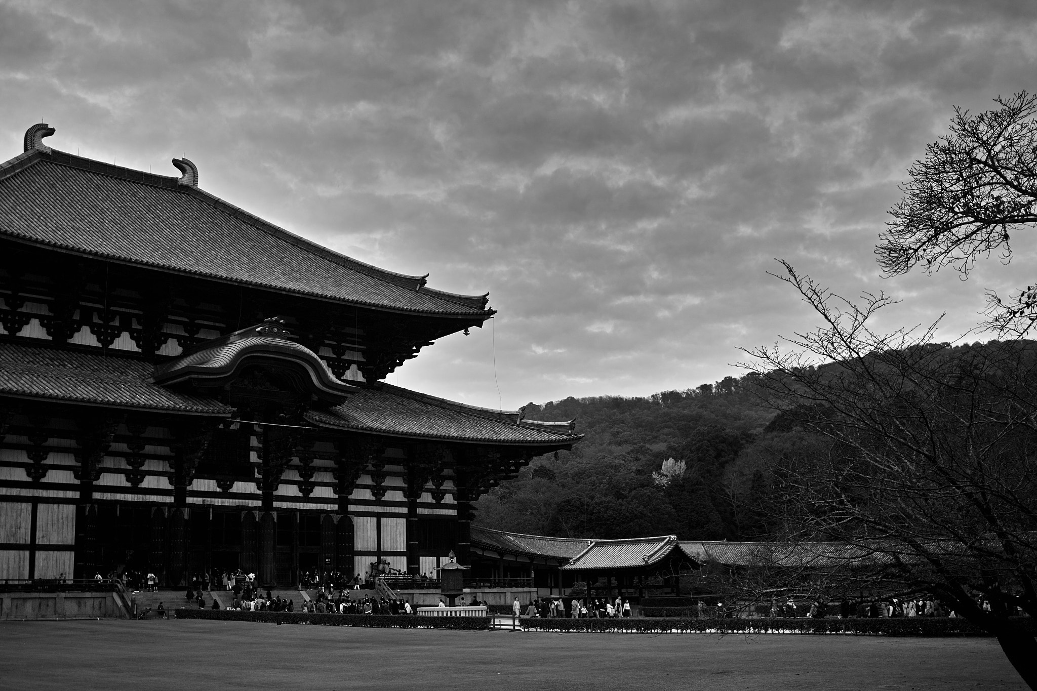 Sigma DP2x sample photo. Todaiji temple photography